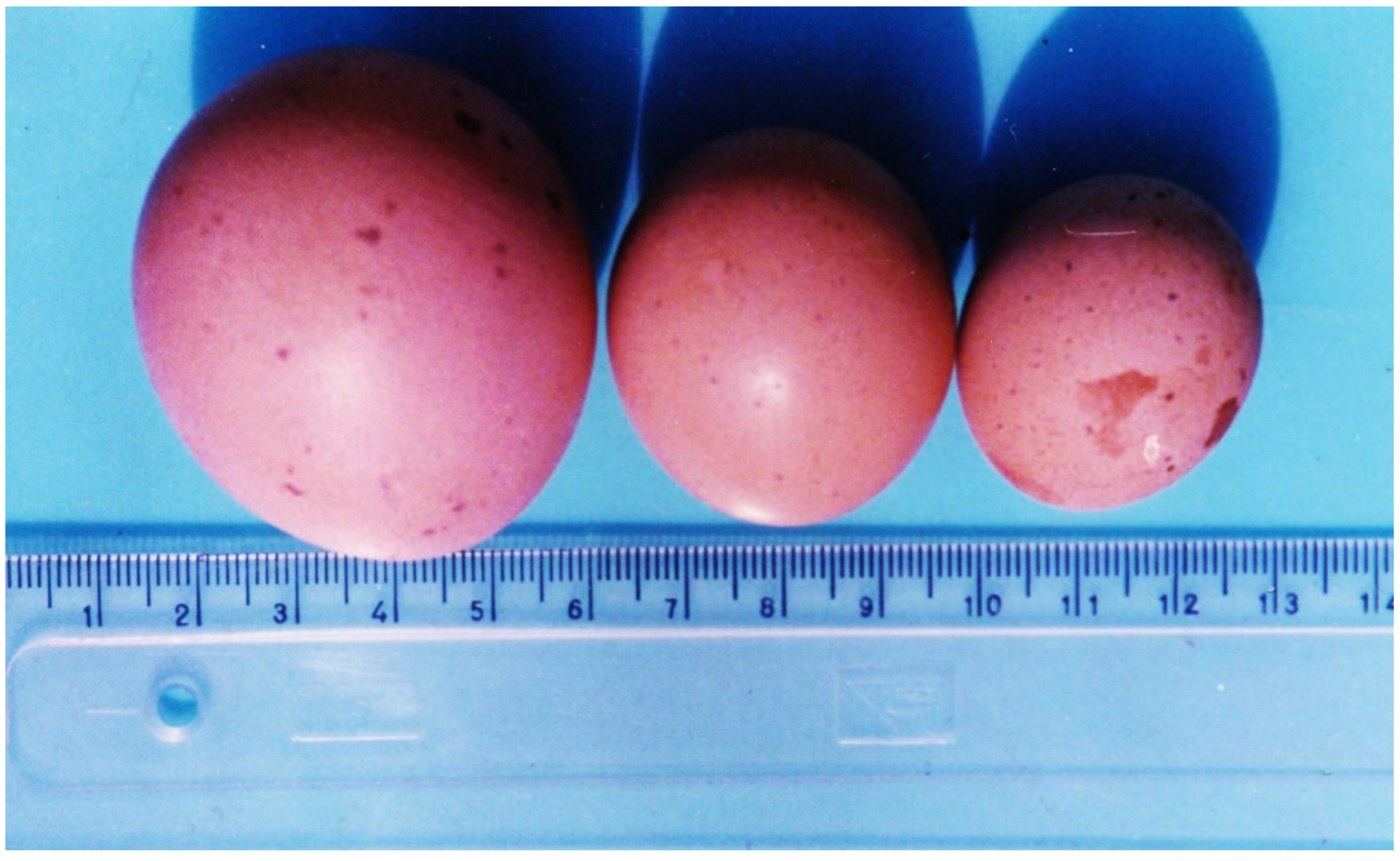 Microorganisms 12 00580 g004