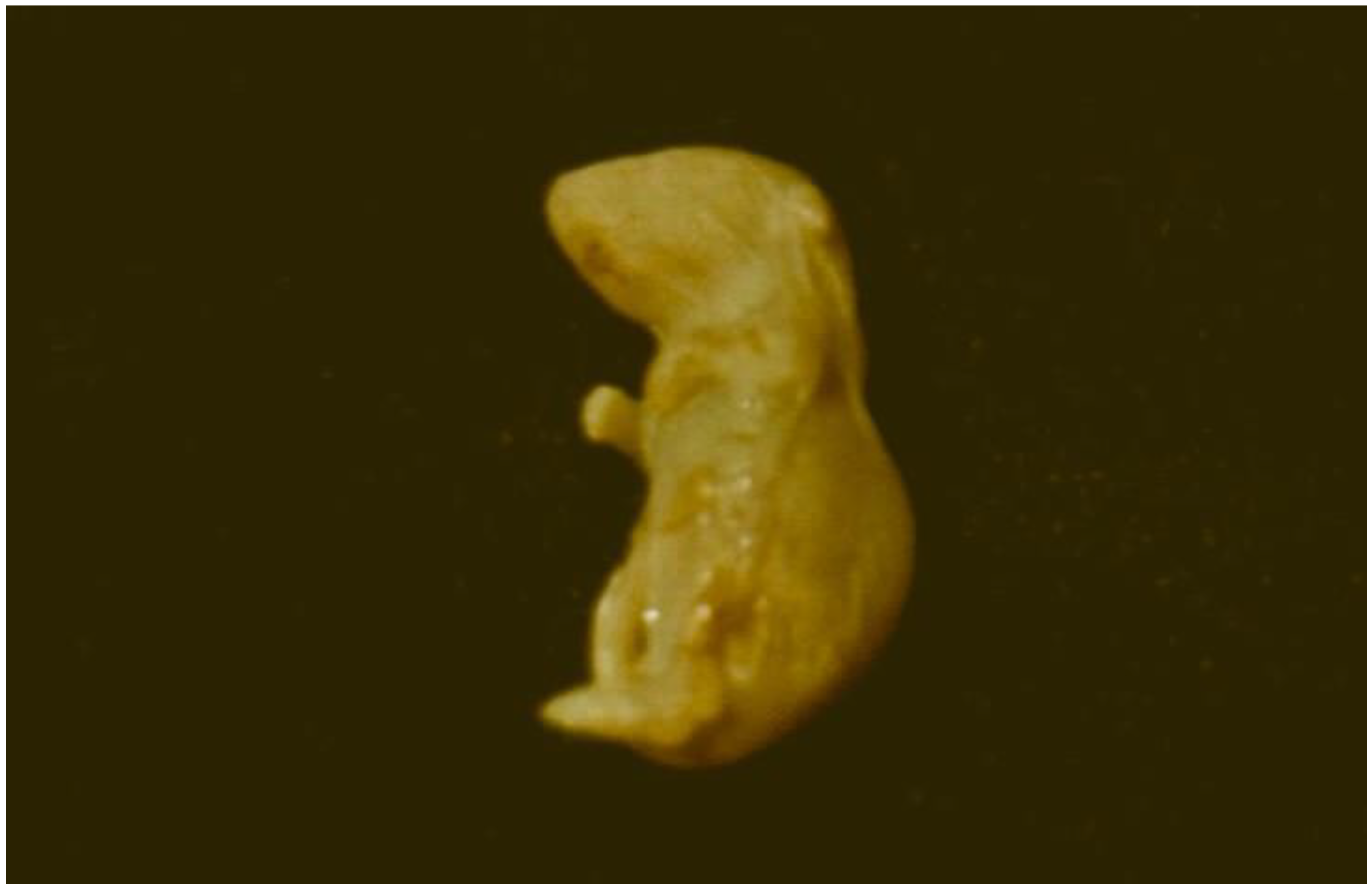 Microorganisms 12 00580 g006