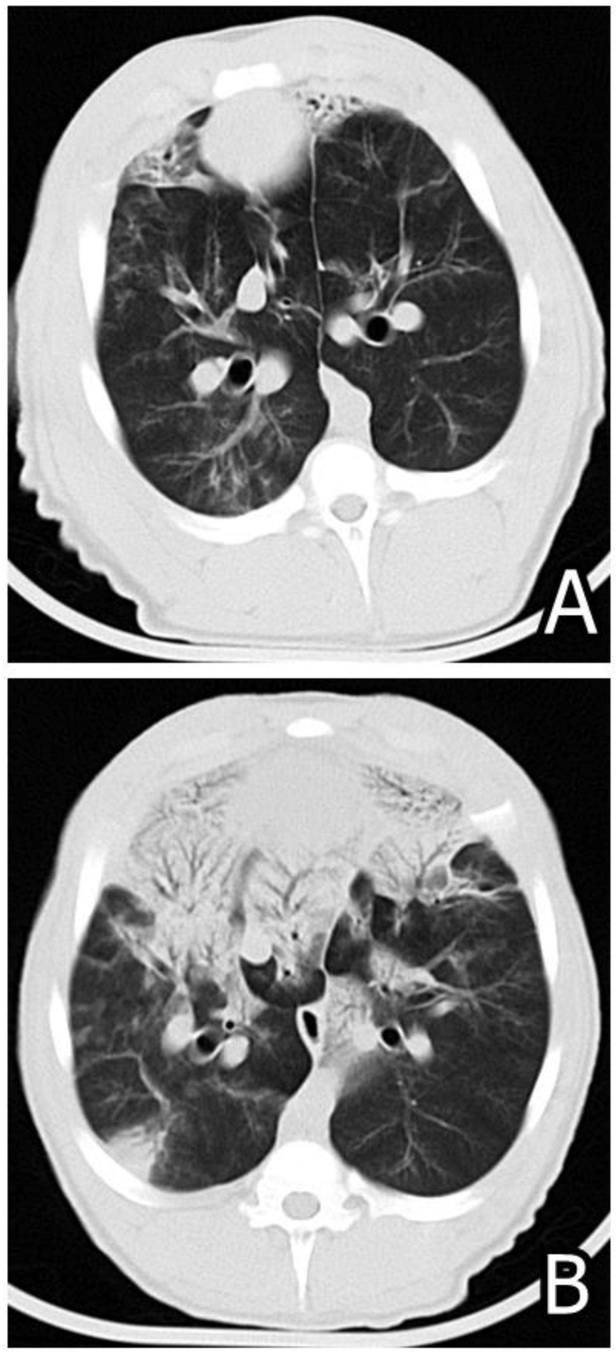Microorganisms 12 00580 g007