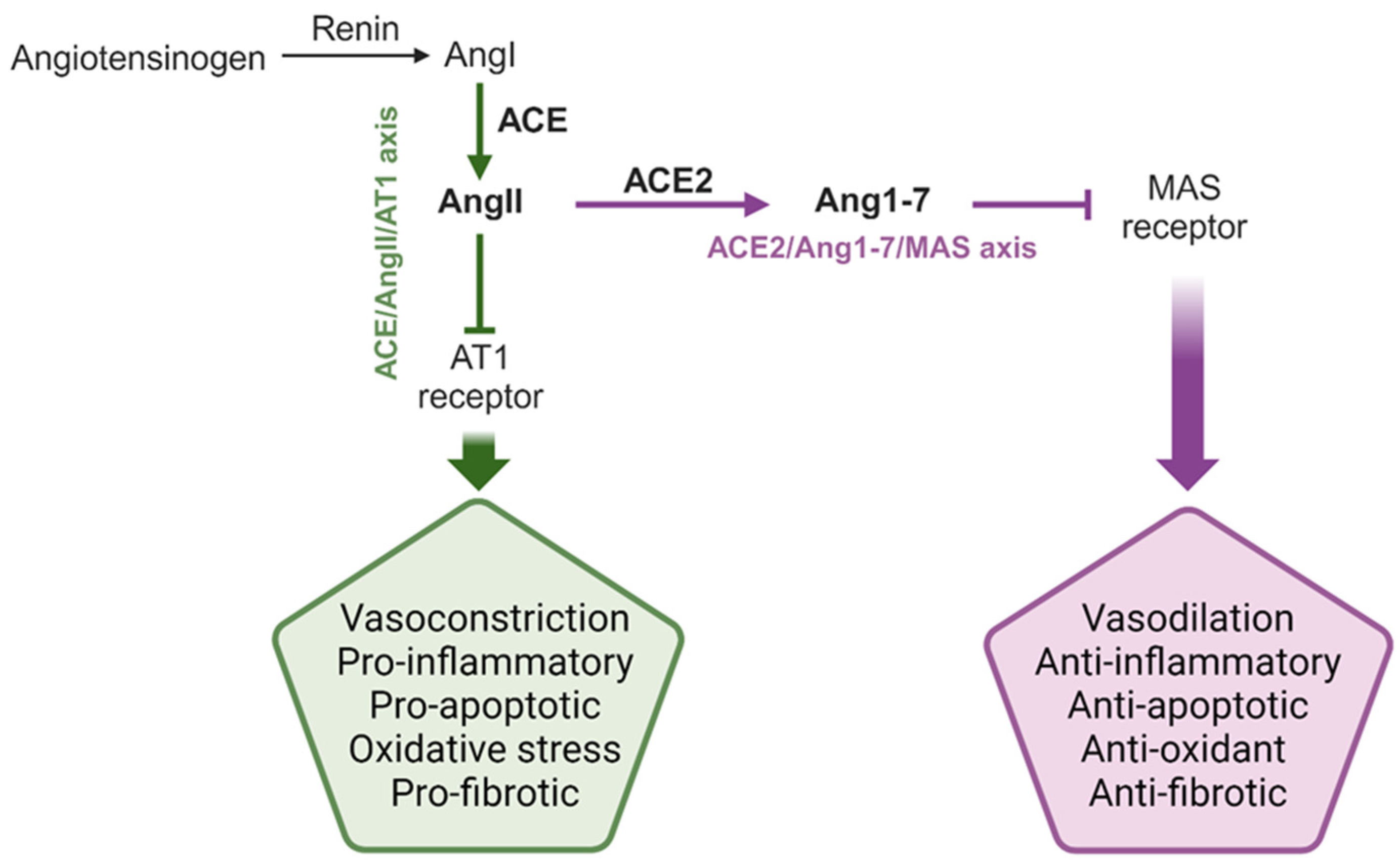 Microorganisms 12 00583 g001