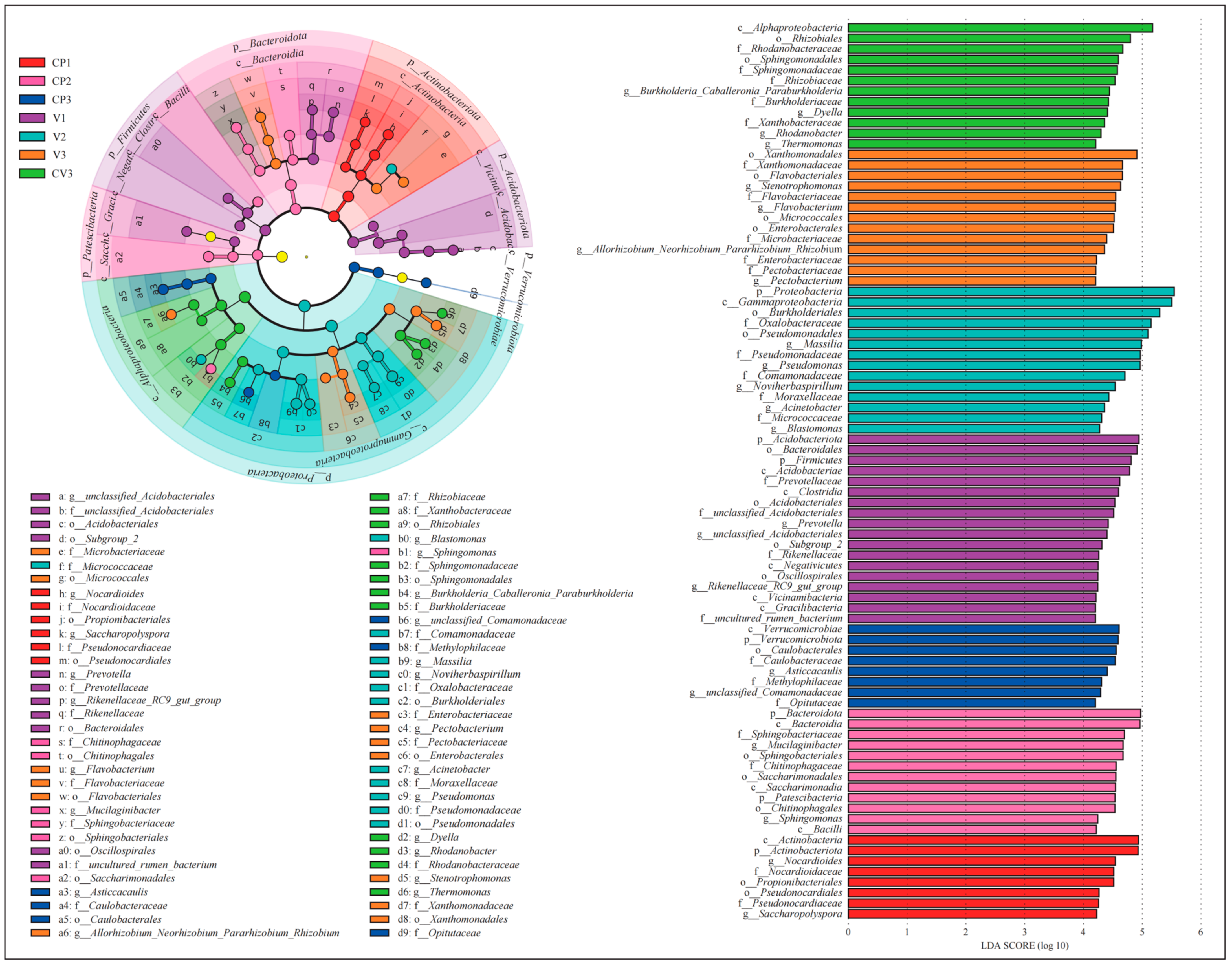 Microorganisms 12 00584 g004