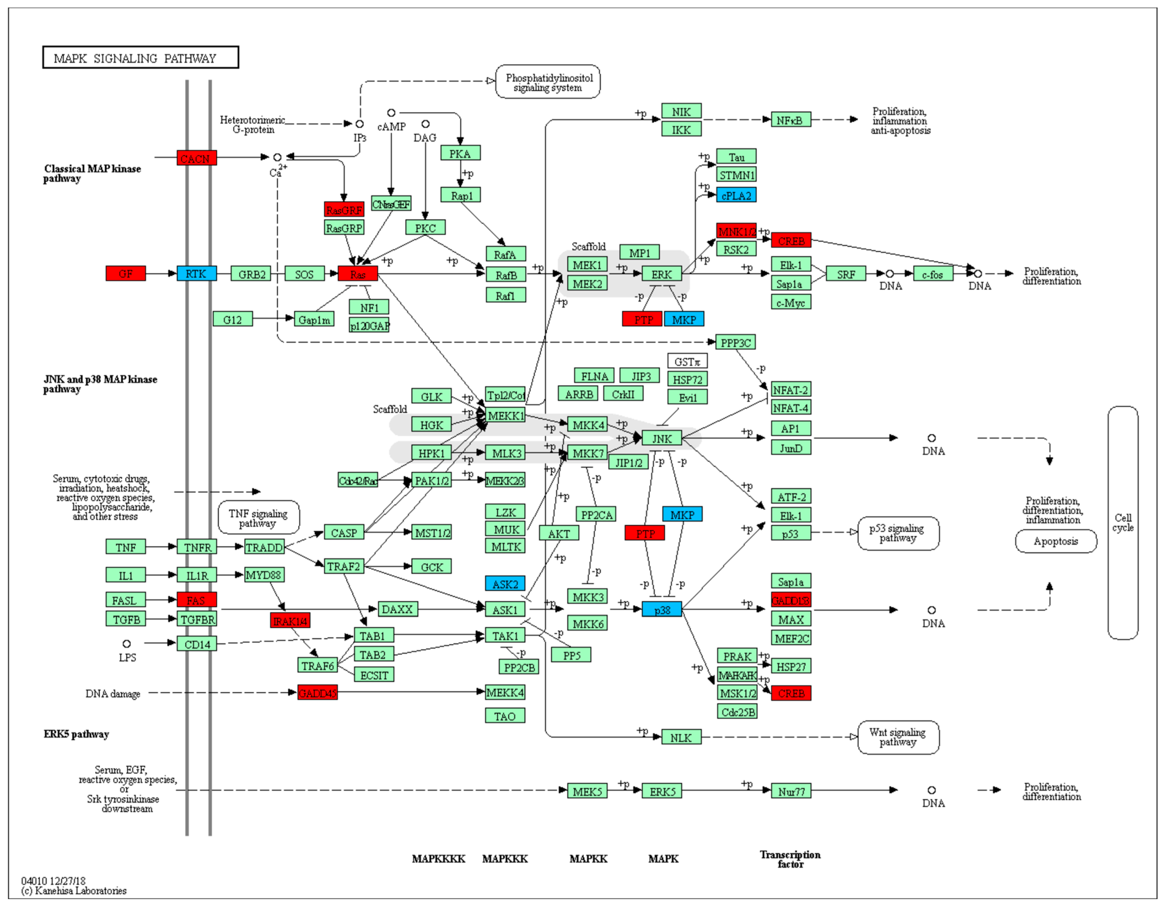 Microorganisms 12 00586 g001