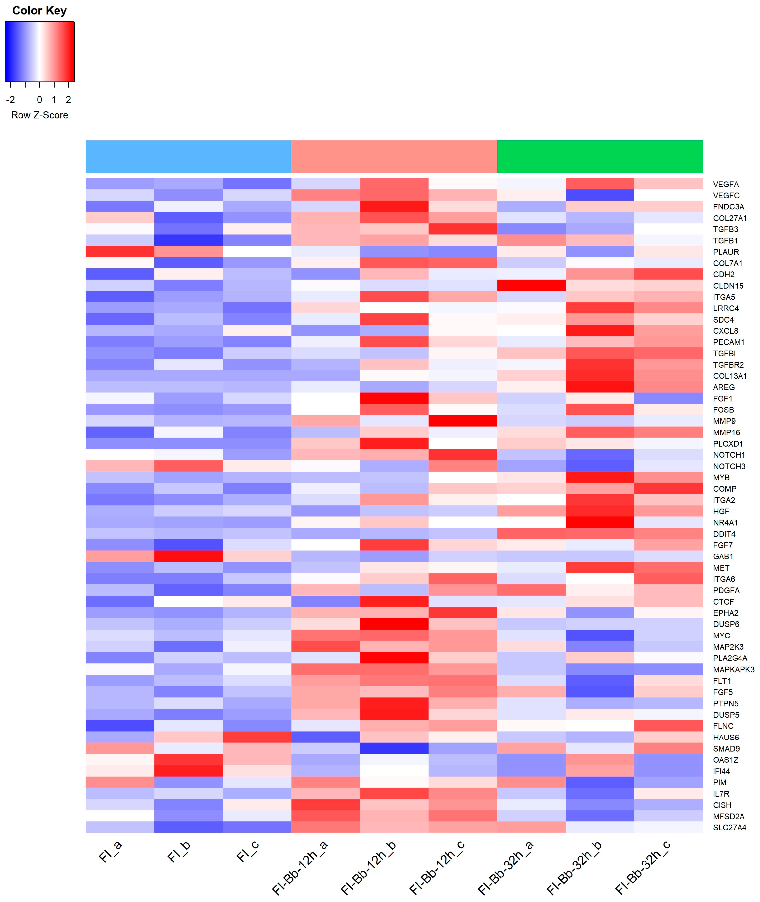 Microorganisms 12 00586 g002