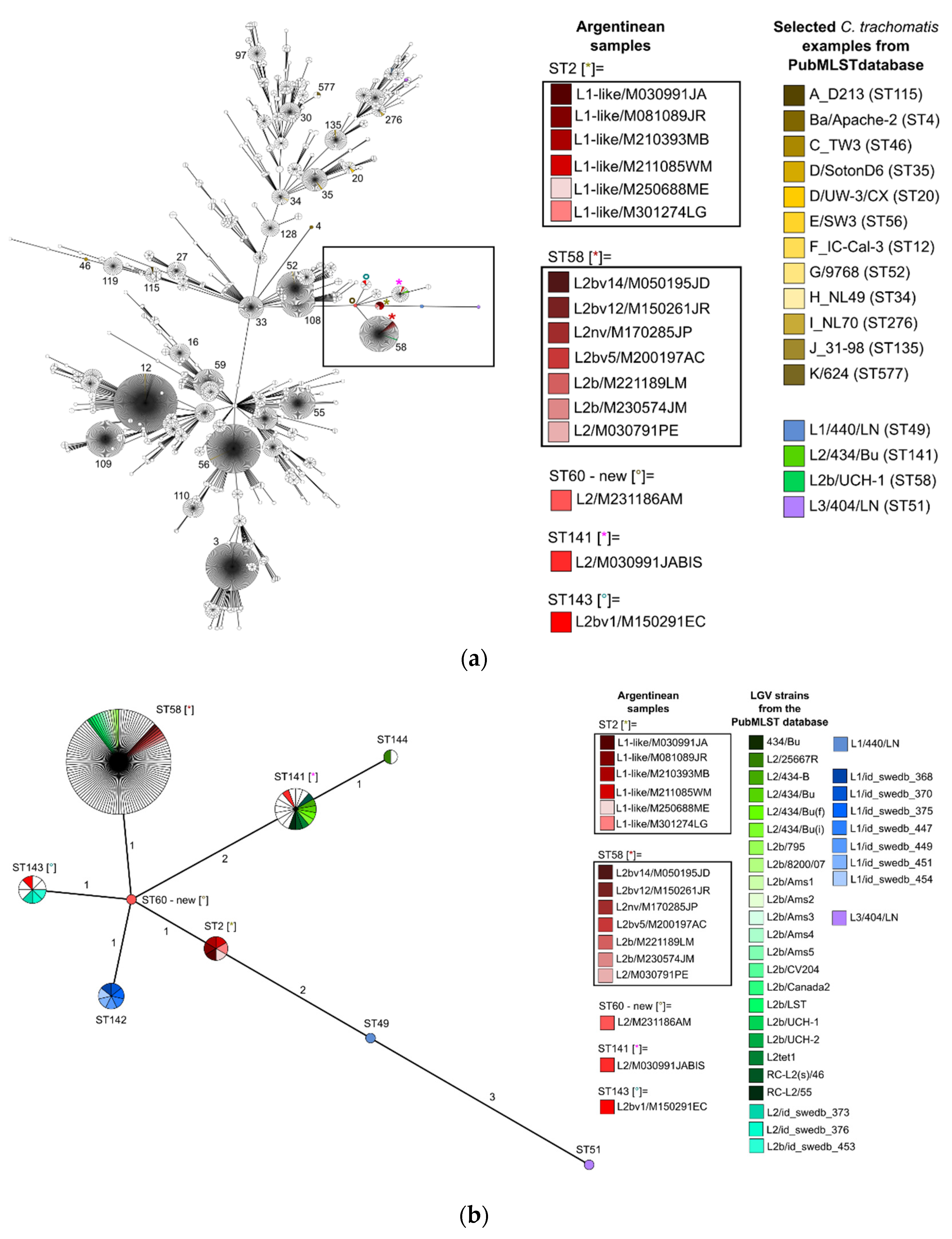 Microorganisms 12 00587 g001