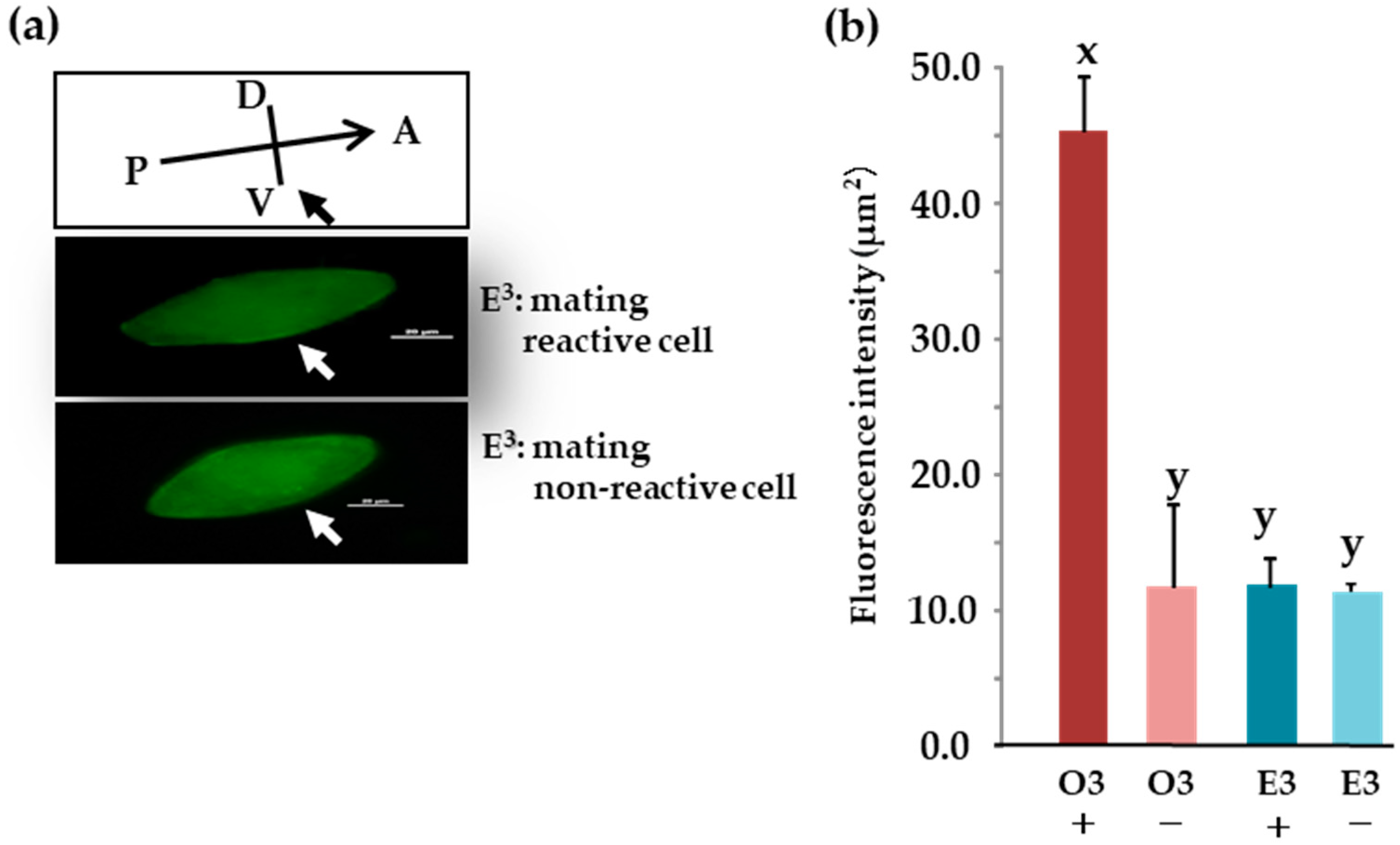 Microorganisms 12 00588 g008