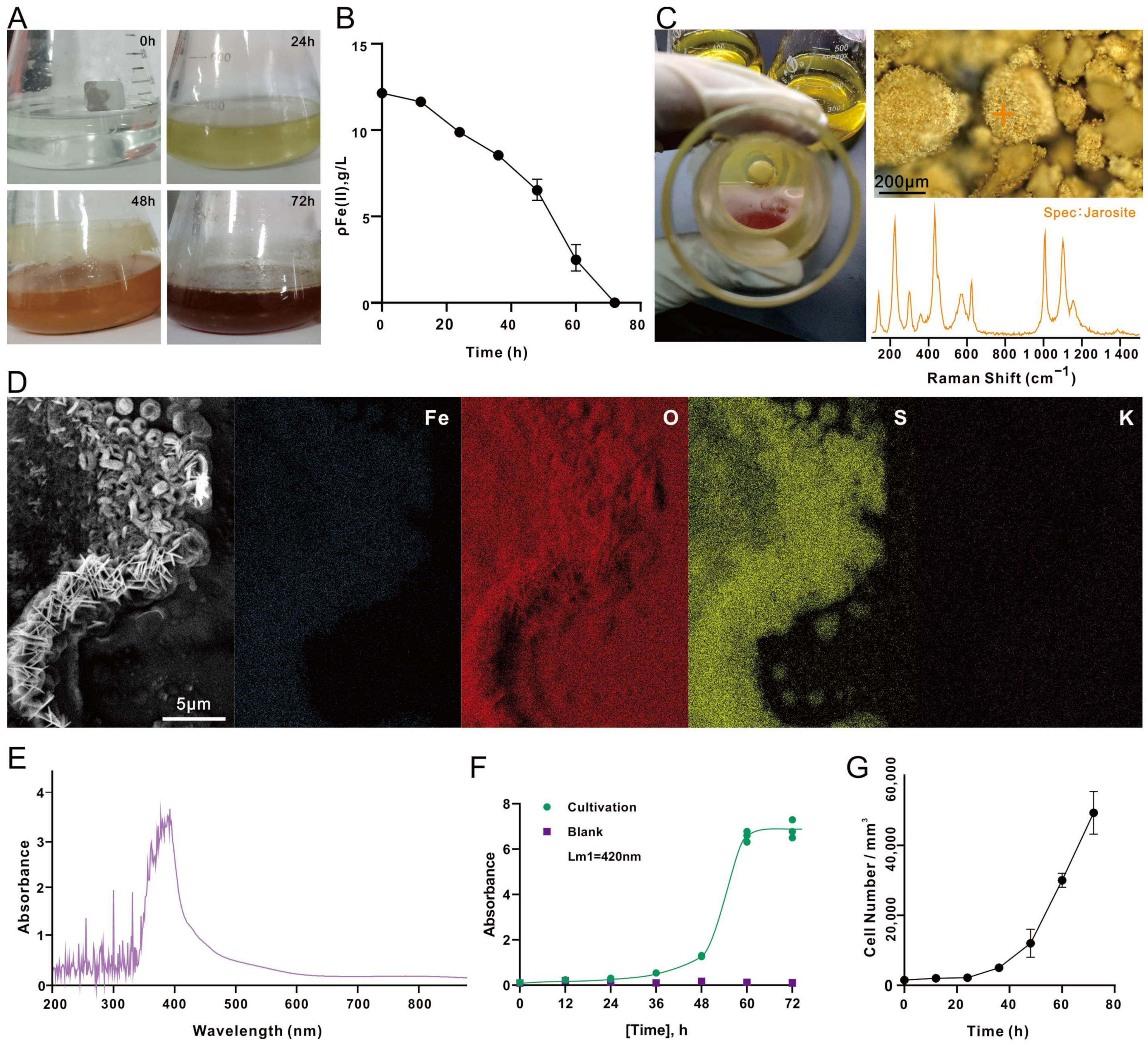 Microorganisms 12 00590 g002 Microorganisms 12 00590 g002