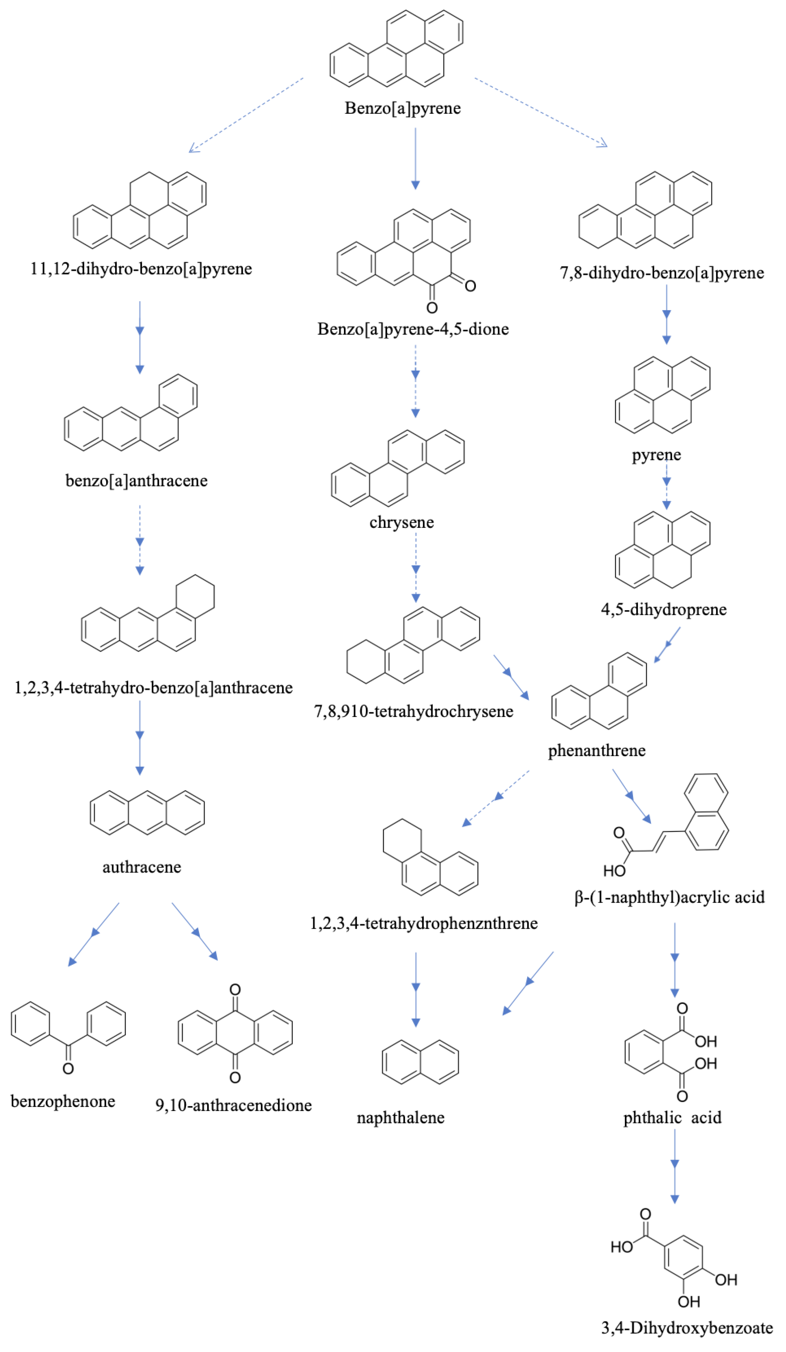 Microorganisms 12 00592 g003