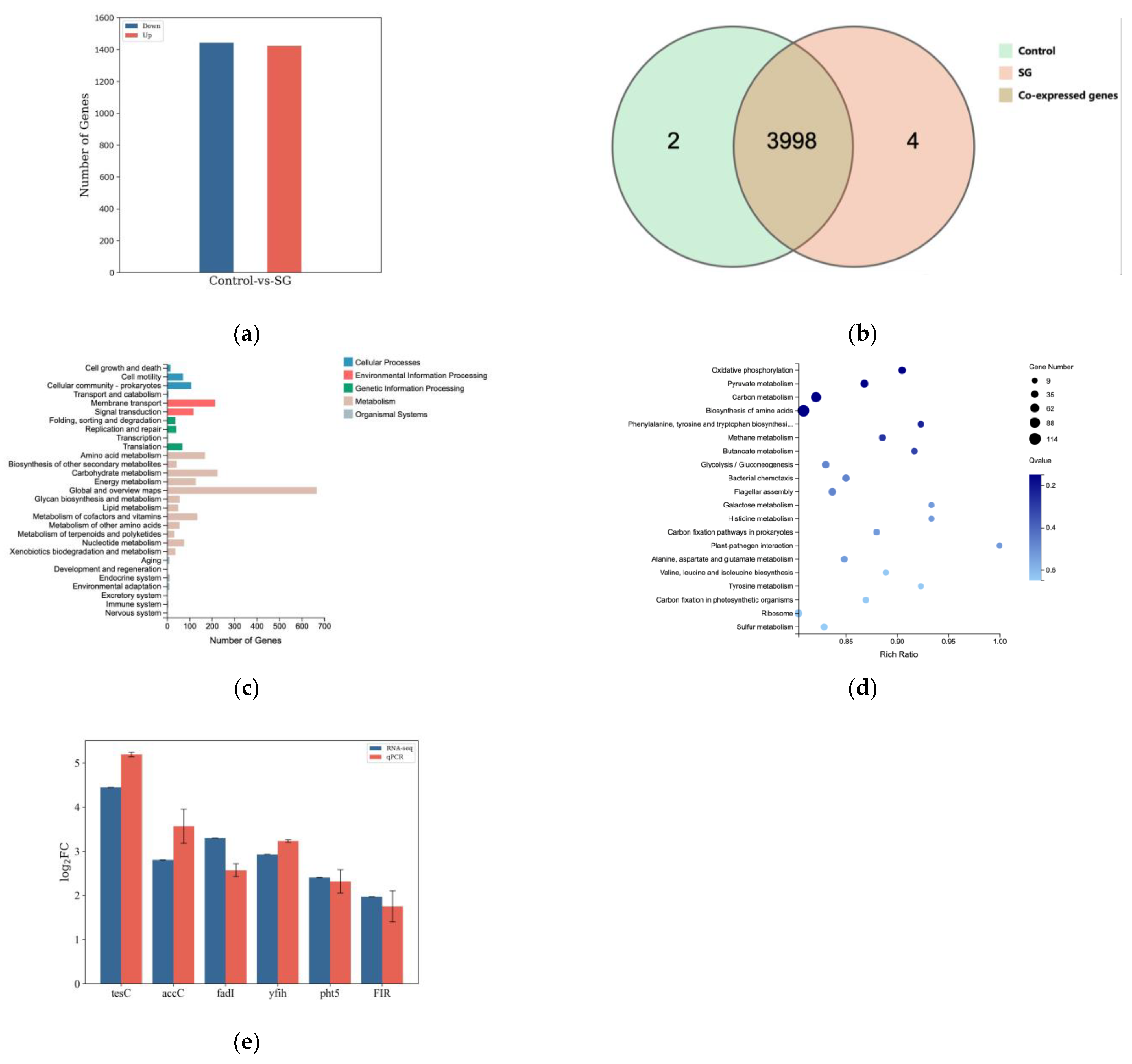 Microorganisms 12 00592 g006