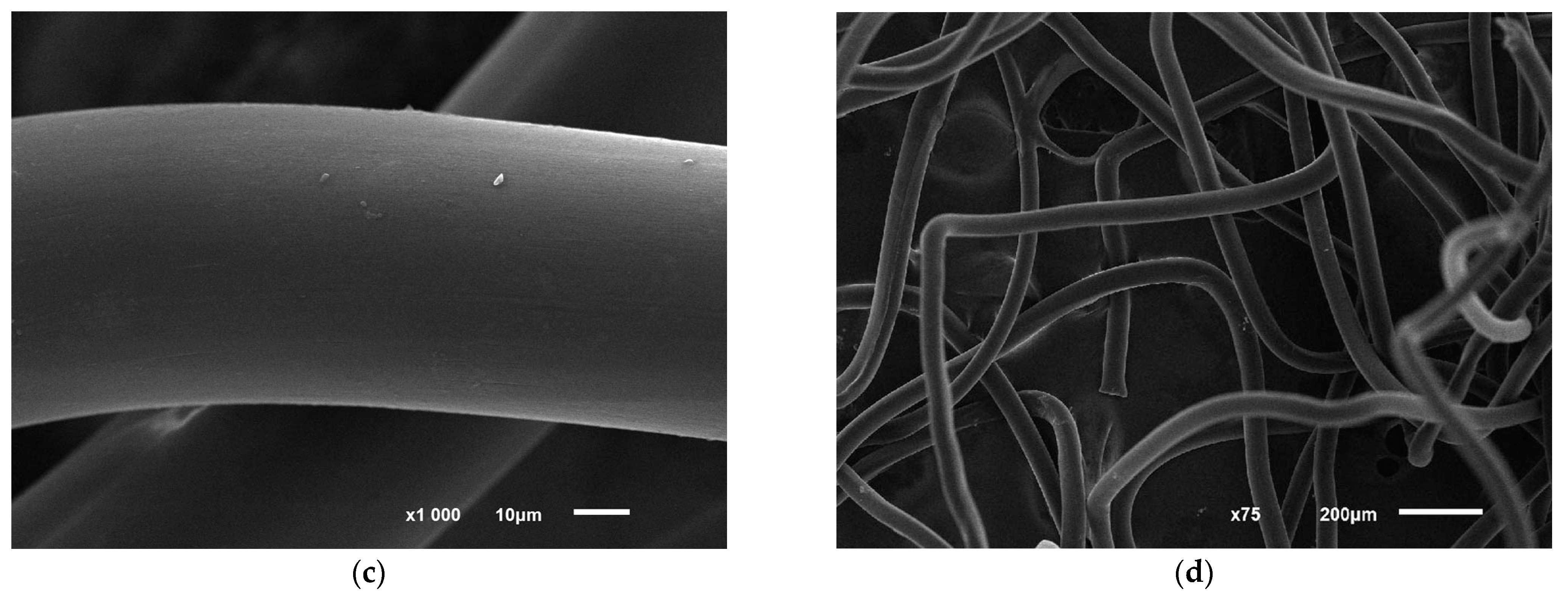 Microorganisms 12 00597 g006b Microorganisms 12 00597 g006b