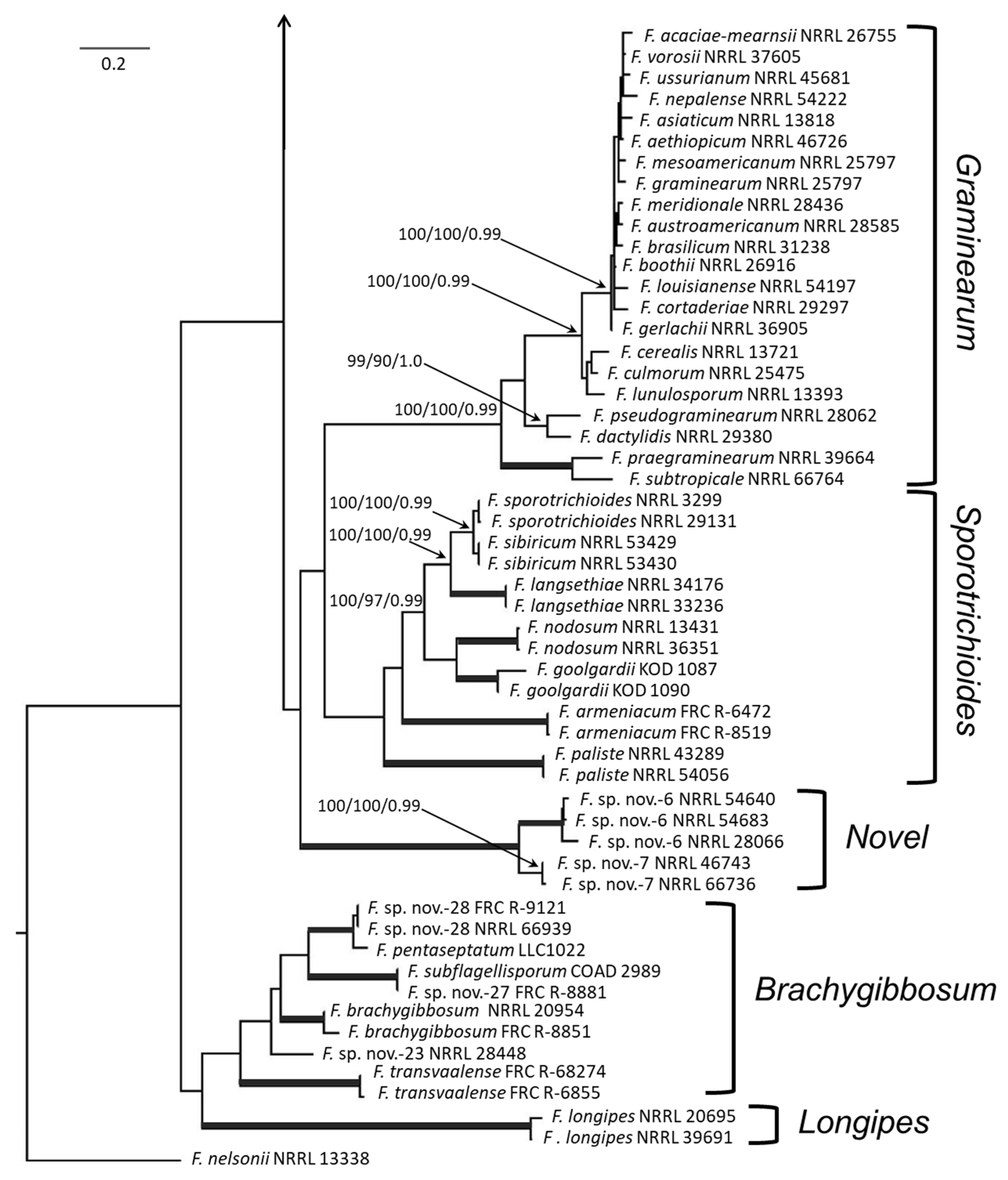 Microorganisms 12 00598 g001b Microorganisms 12 00598 g001b