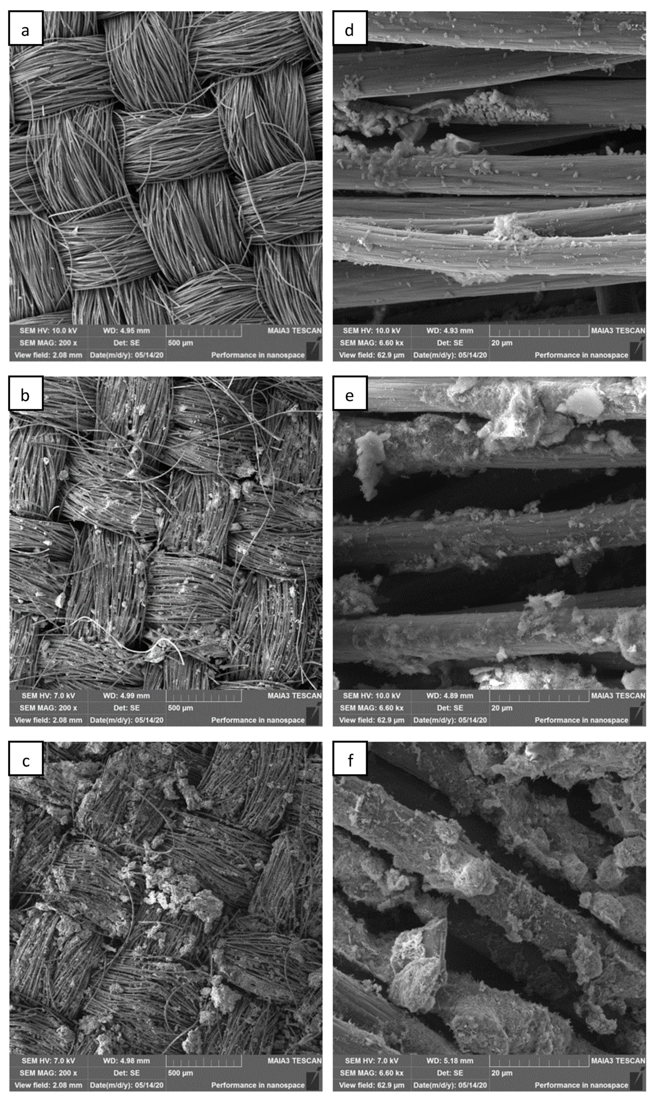 Microorganisms 12 00604 g007