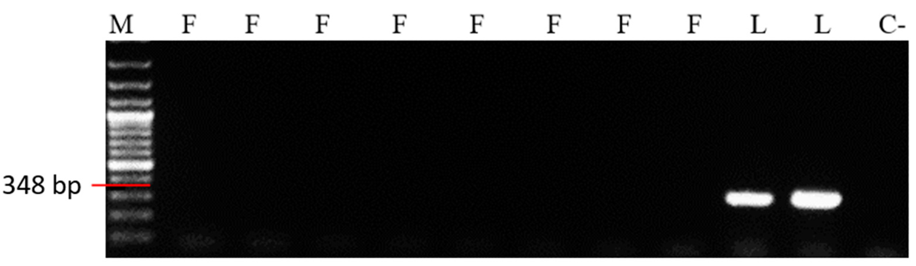 Microorganisms 12 00605 g003