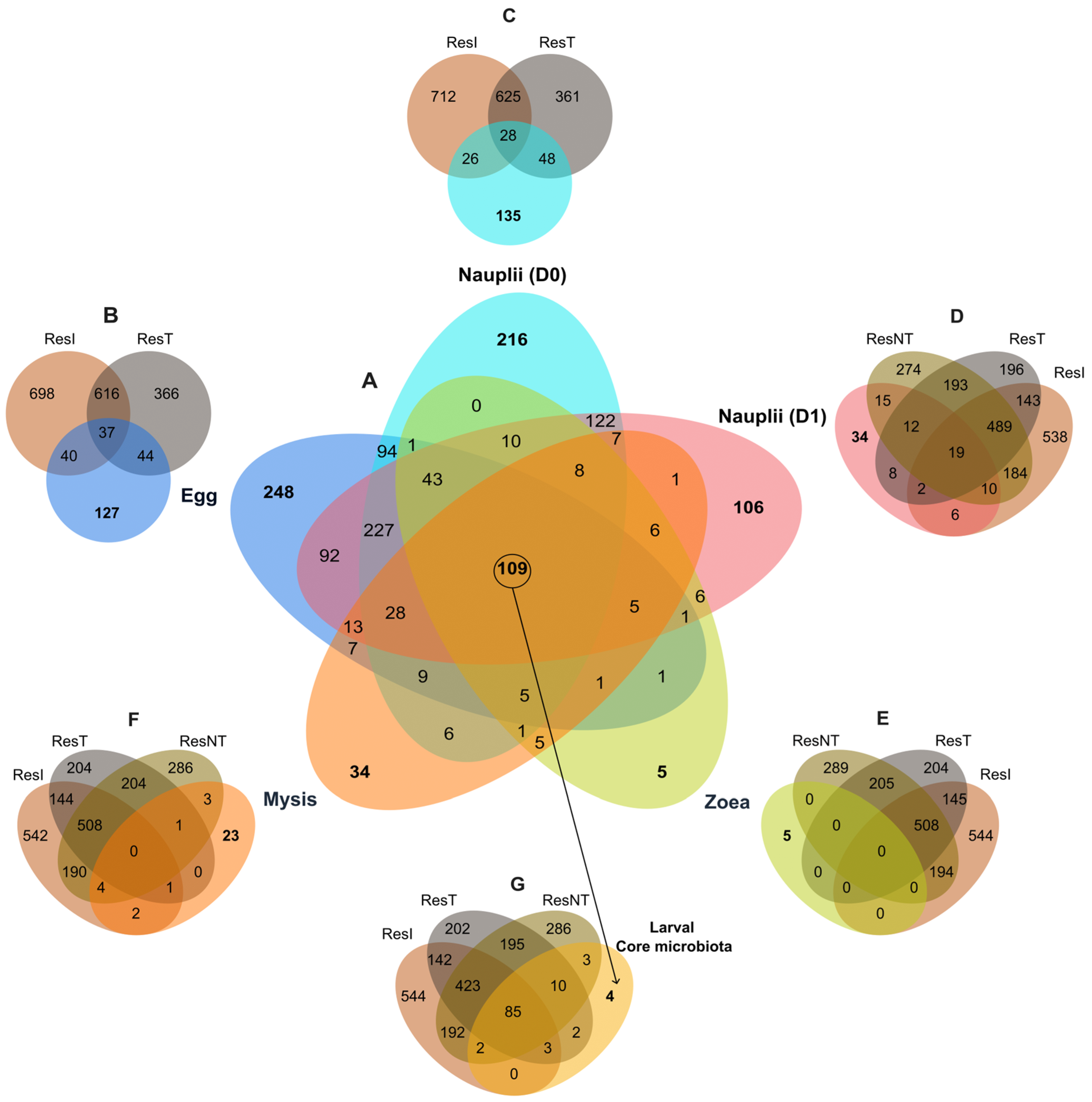 Microorganisms 12 00608 g005 Microorganisms 12 00608 g005