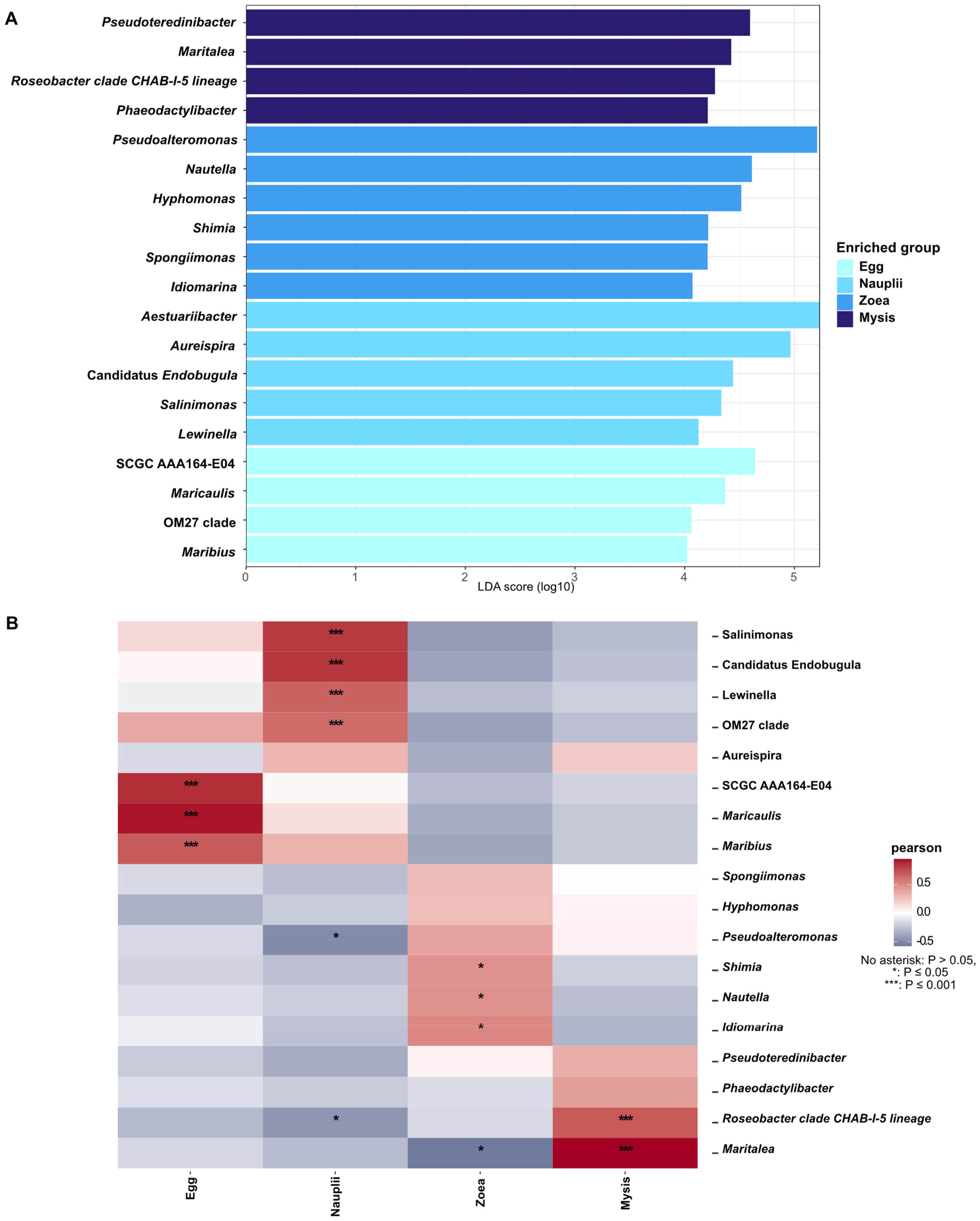 Microorganisms 12 00608 g006 Microorganisms 12 00608 g006