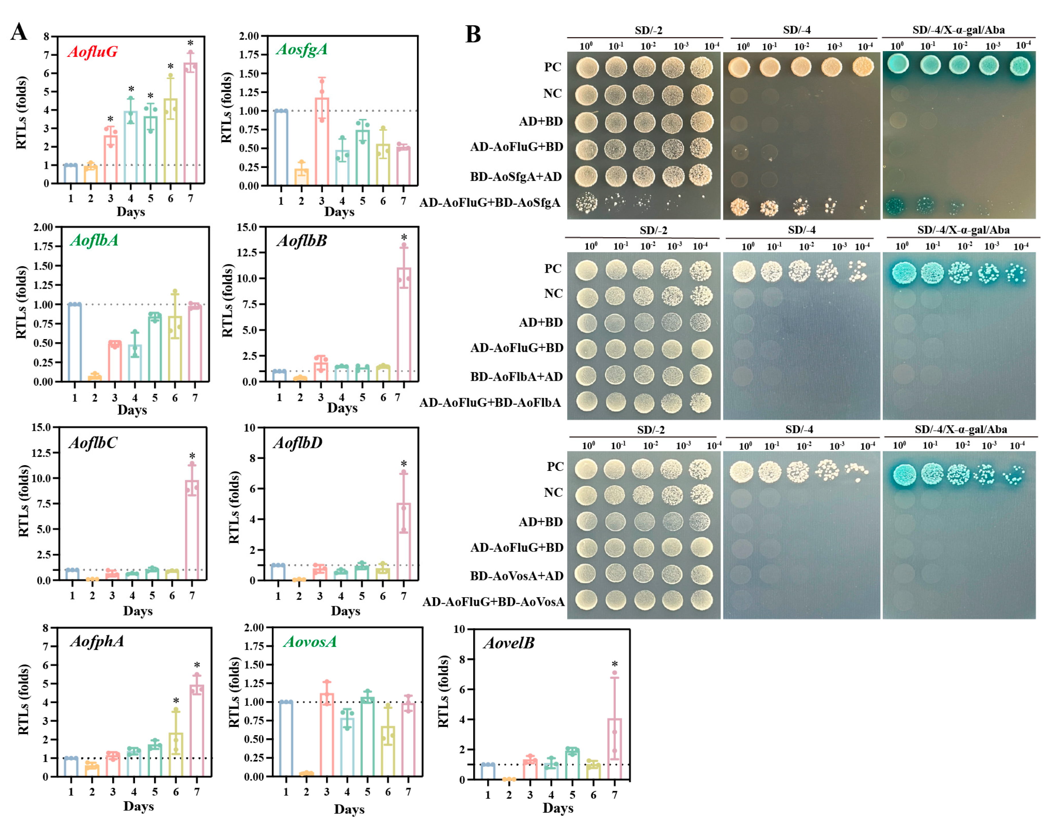 Microorganisms 12 00615 g001 Microorganisms 12 00615 g001