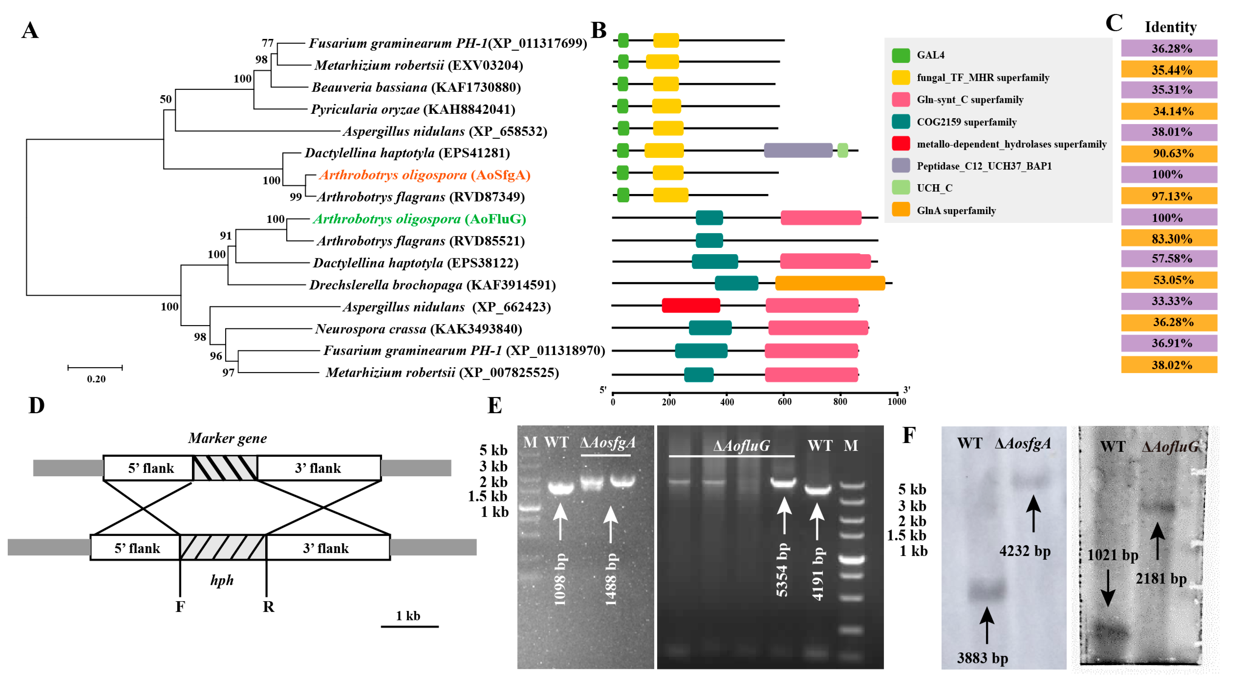 Microorganisms 12 00615 g002 Microorganisms 12 00615 g002