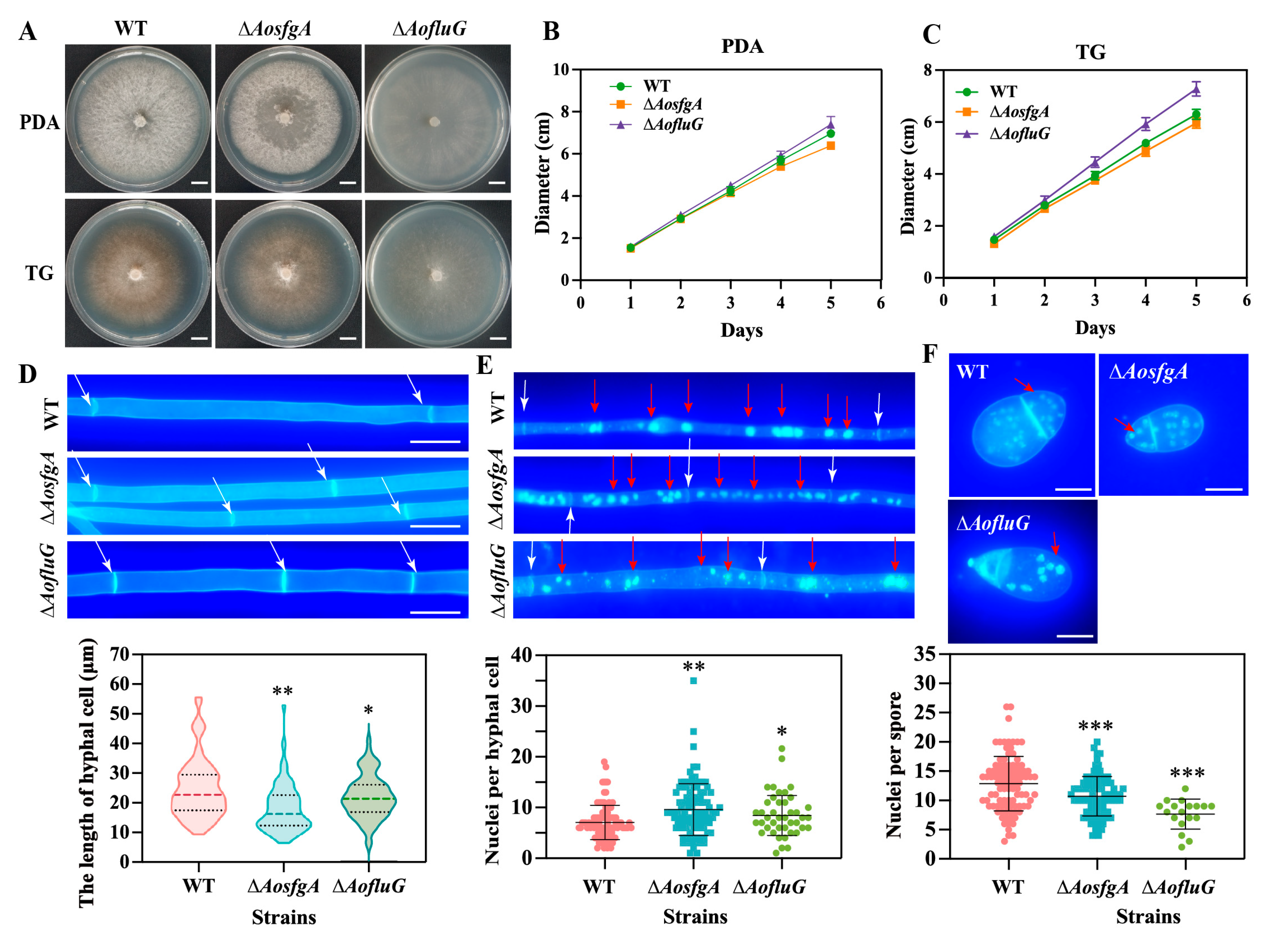 Microorganisms 12 00615 g003 Microorganisms 12 00615 g003