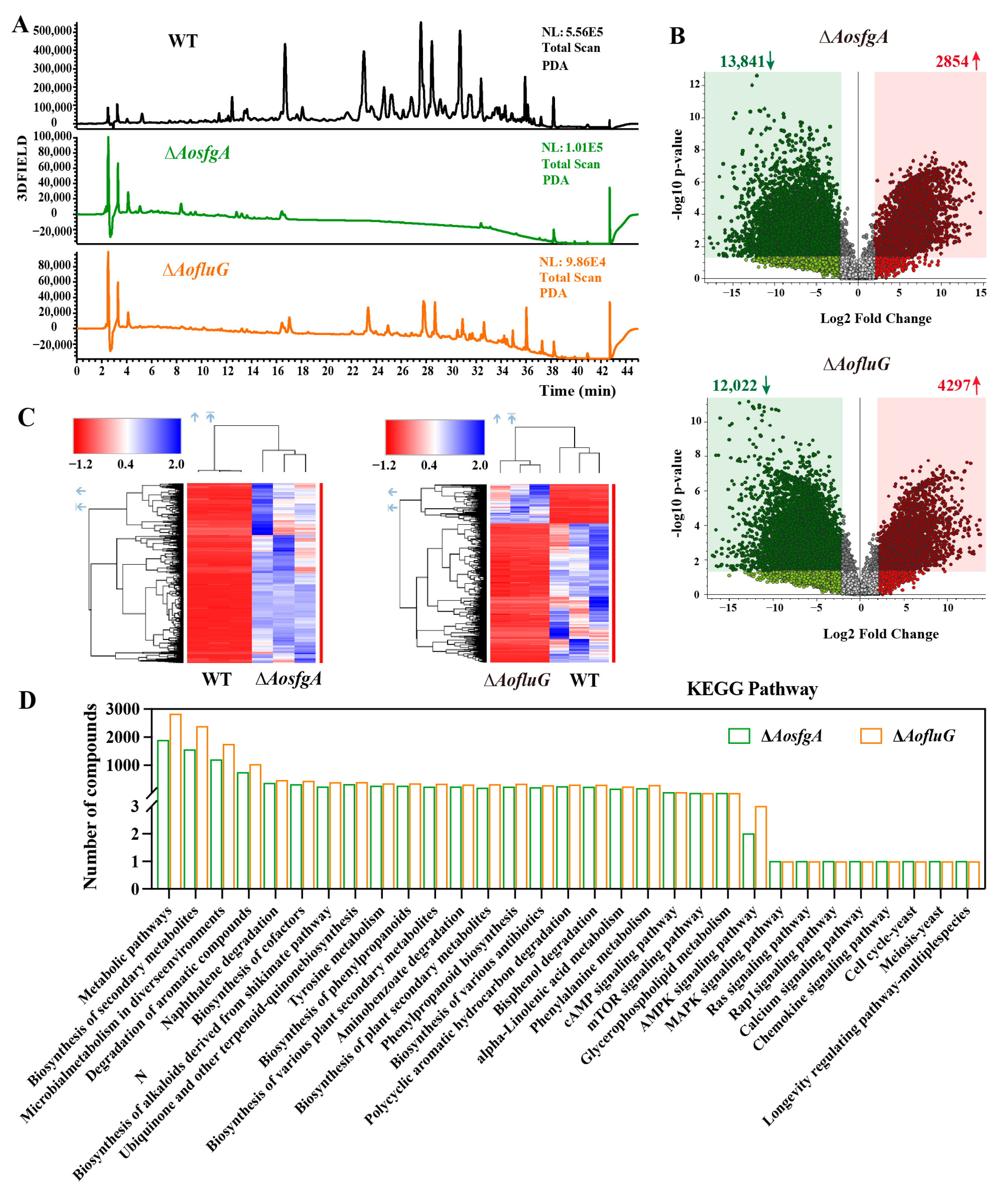 Microorganisms 12 00615 g007 Microorganisms 12 00615 g007