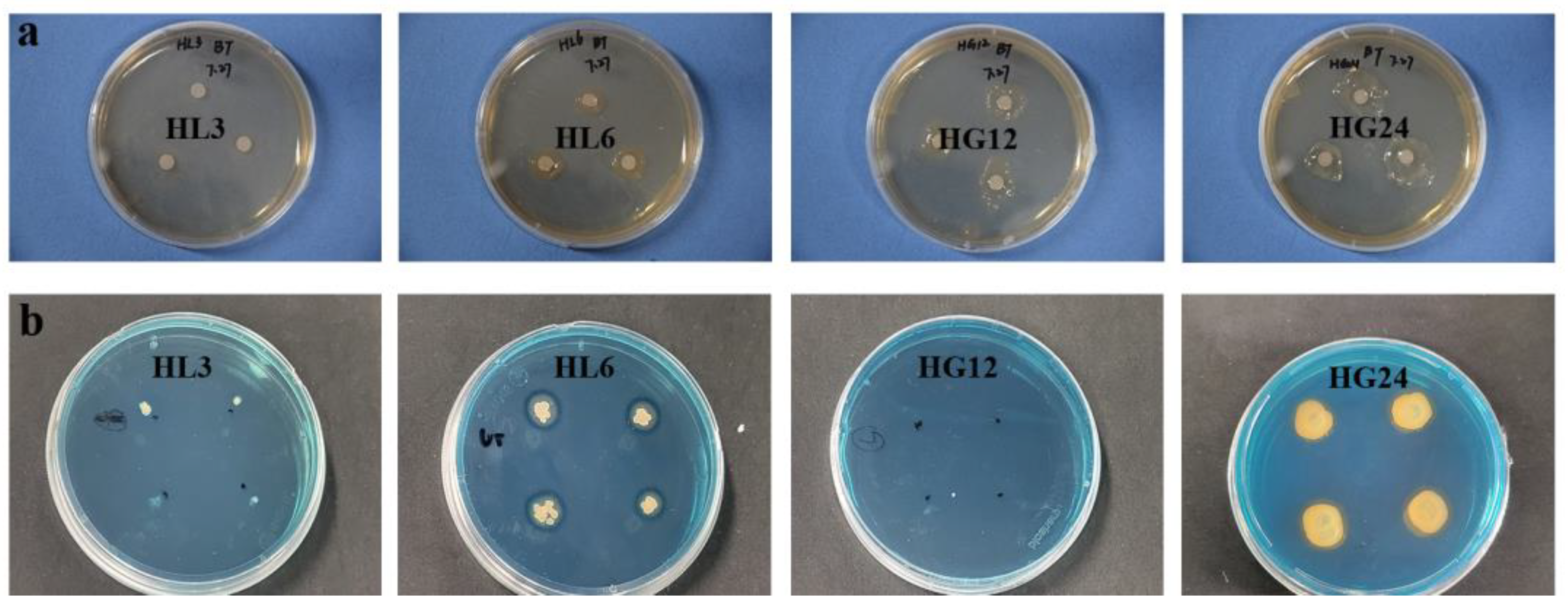 Microorganisms 12 00616 g003