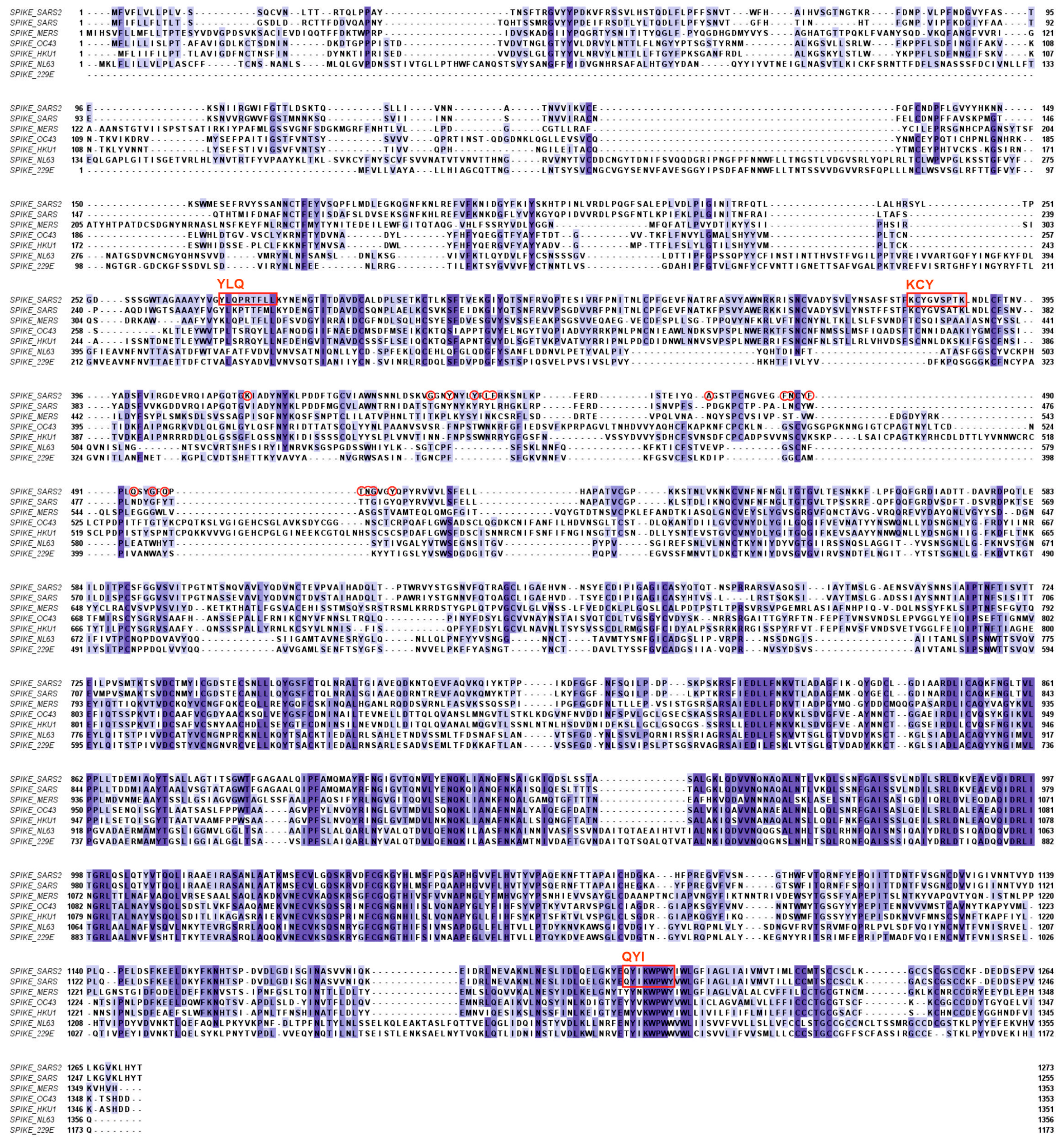 Microorganisms 12 00617 g002