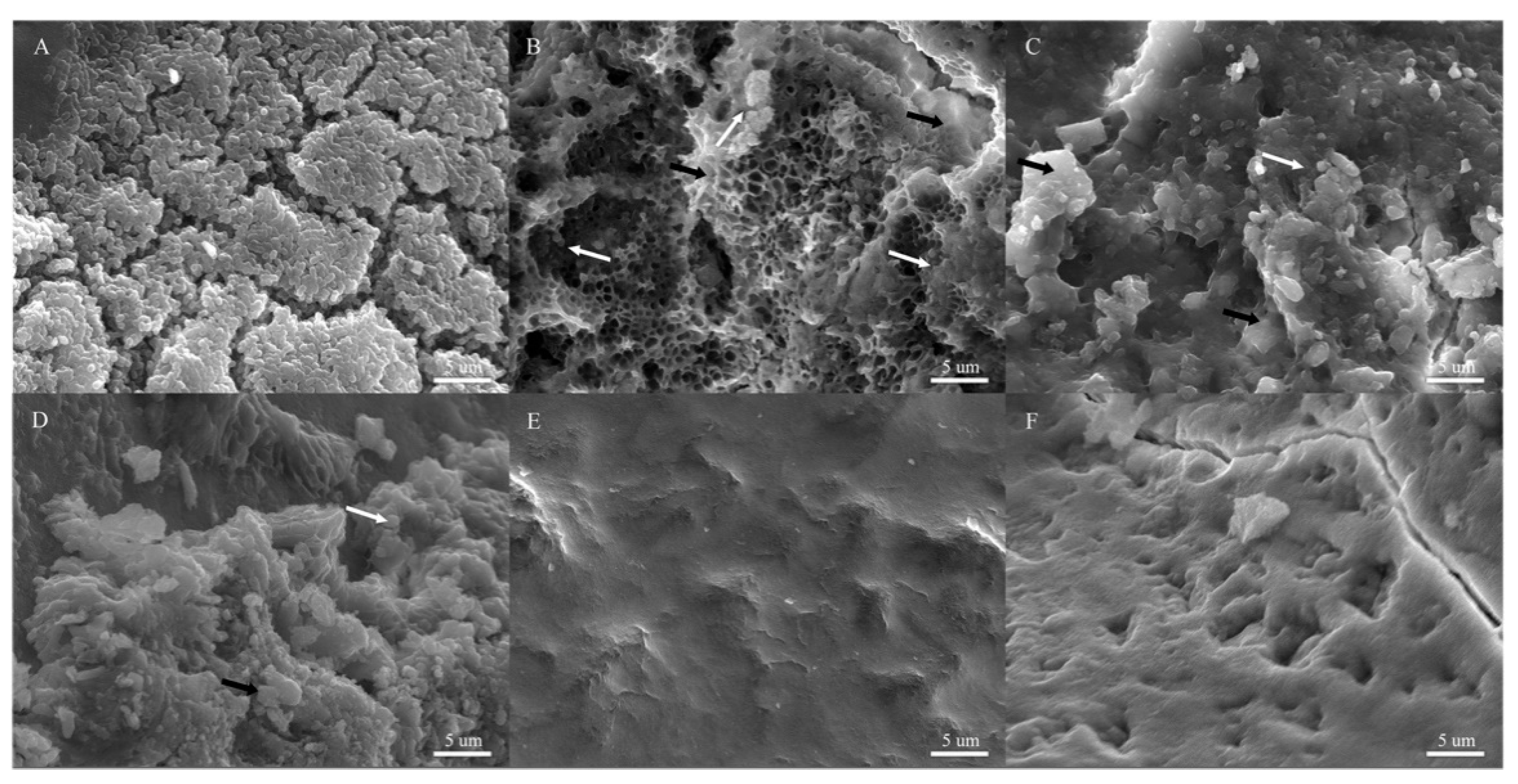 Microorganisms 12 00624 g004