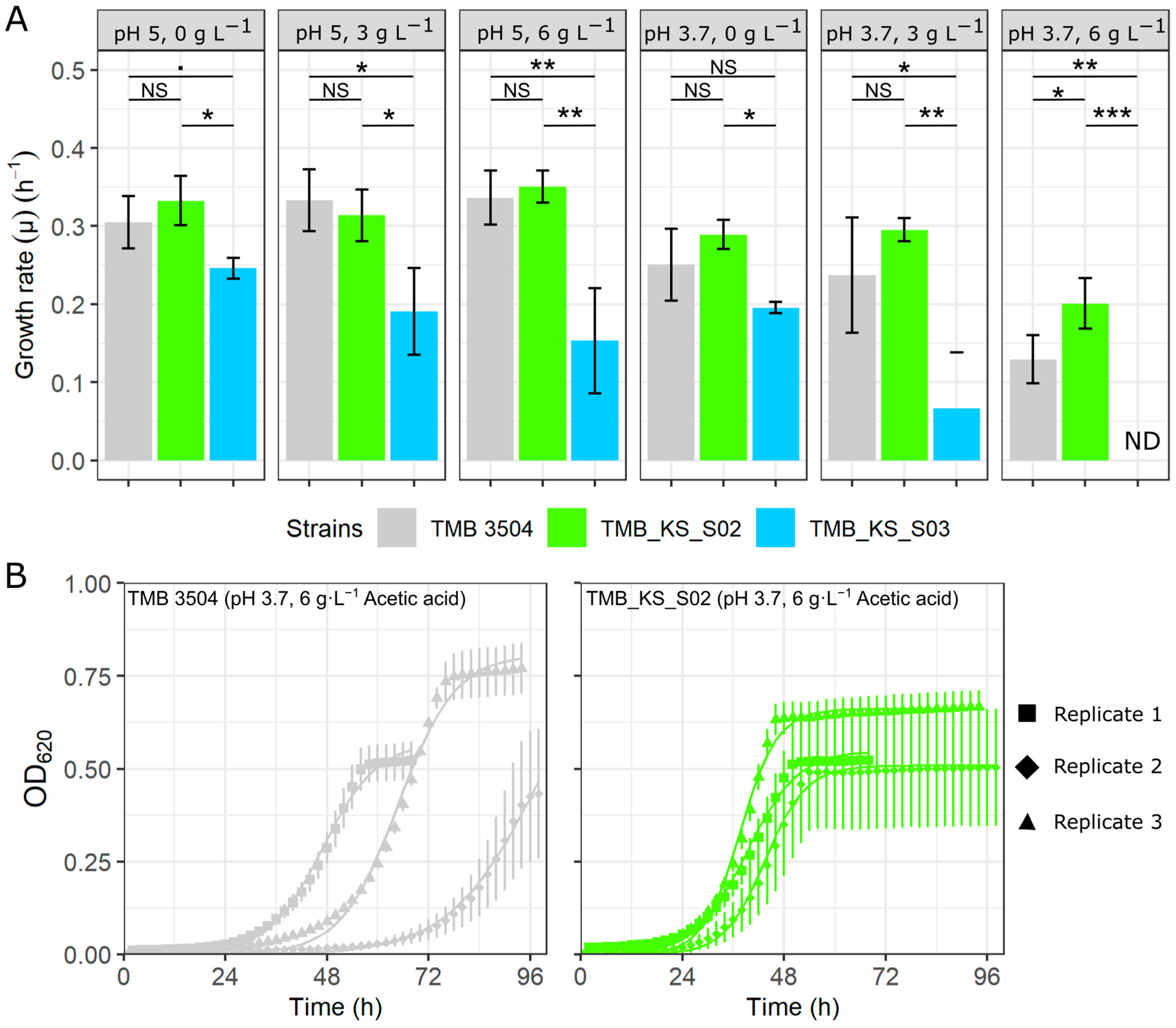Microorganisms 12 00625 g001 Microorganisms 12 00625 g001