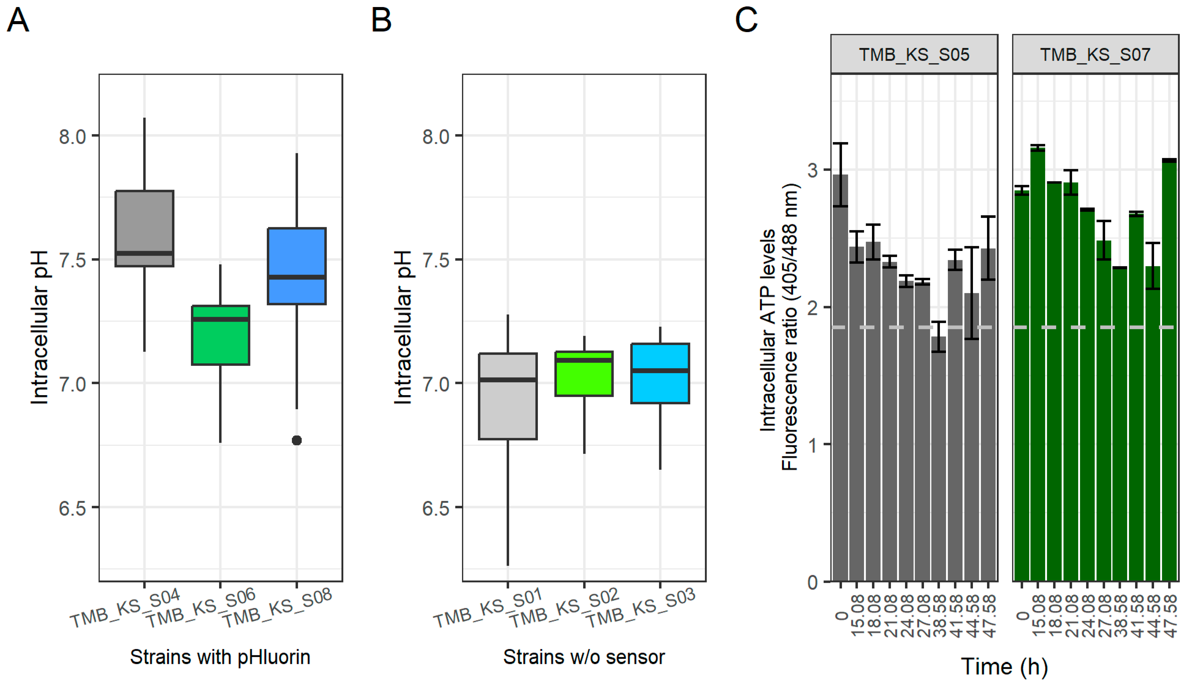 Microorganisms 12 00625 g007 Microorganisms 12 00625 g007