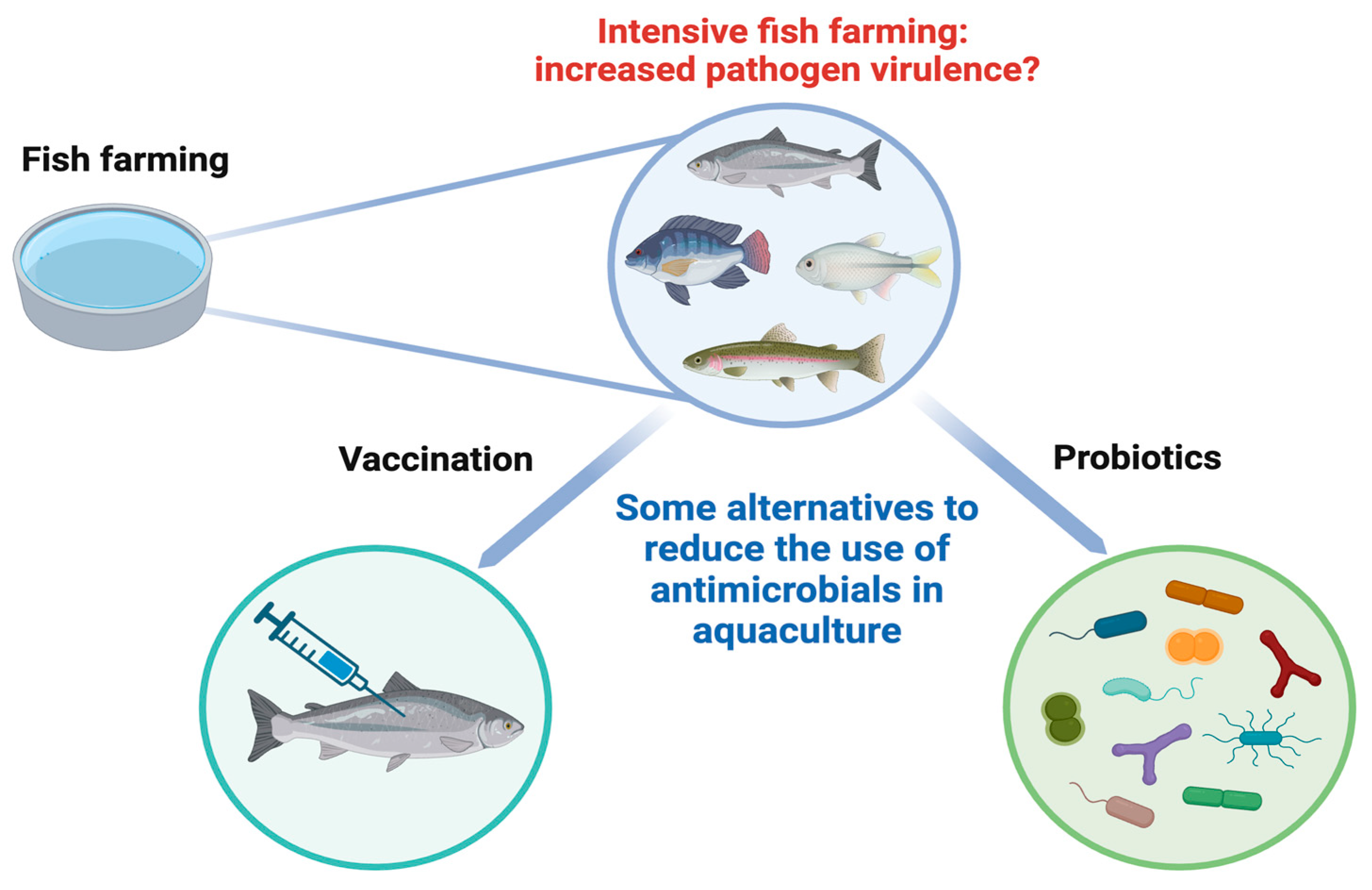 Microorganisms 12 00626 g001 Microorganisms 12 00626 g001