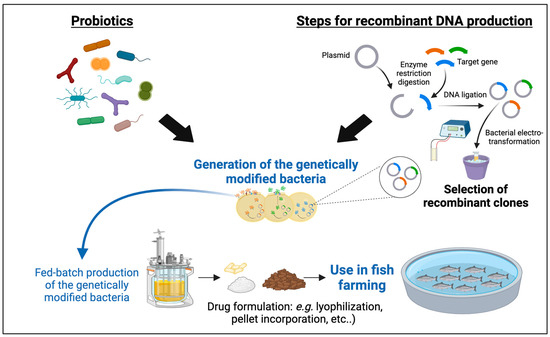 Importance of Probiotics in Fish Aquaculture: Towards the ...