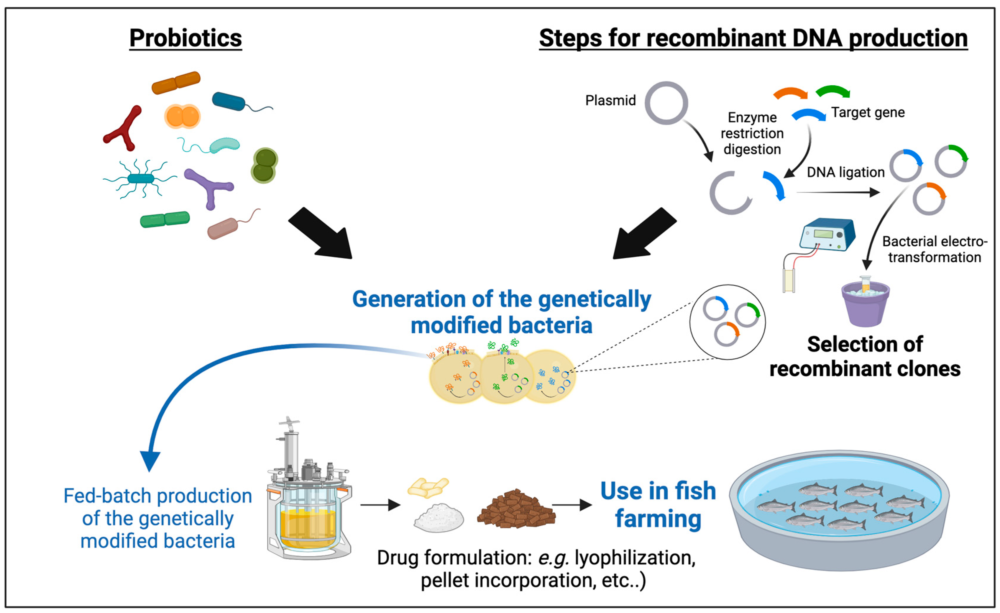Microorganisms 12 00626 g002 Microorganisms 12 00626 g002