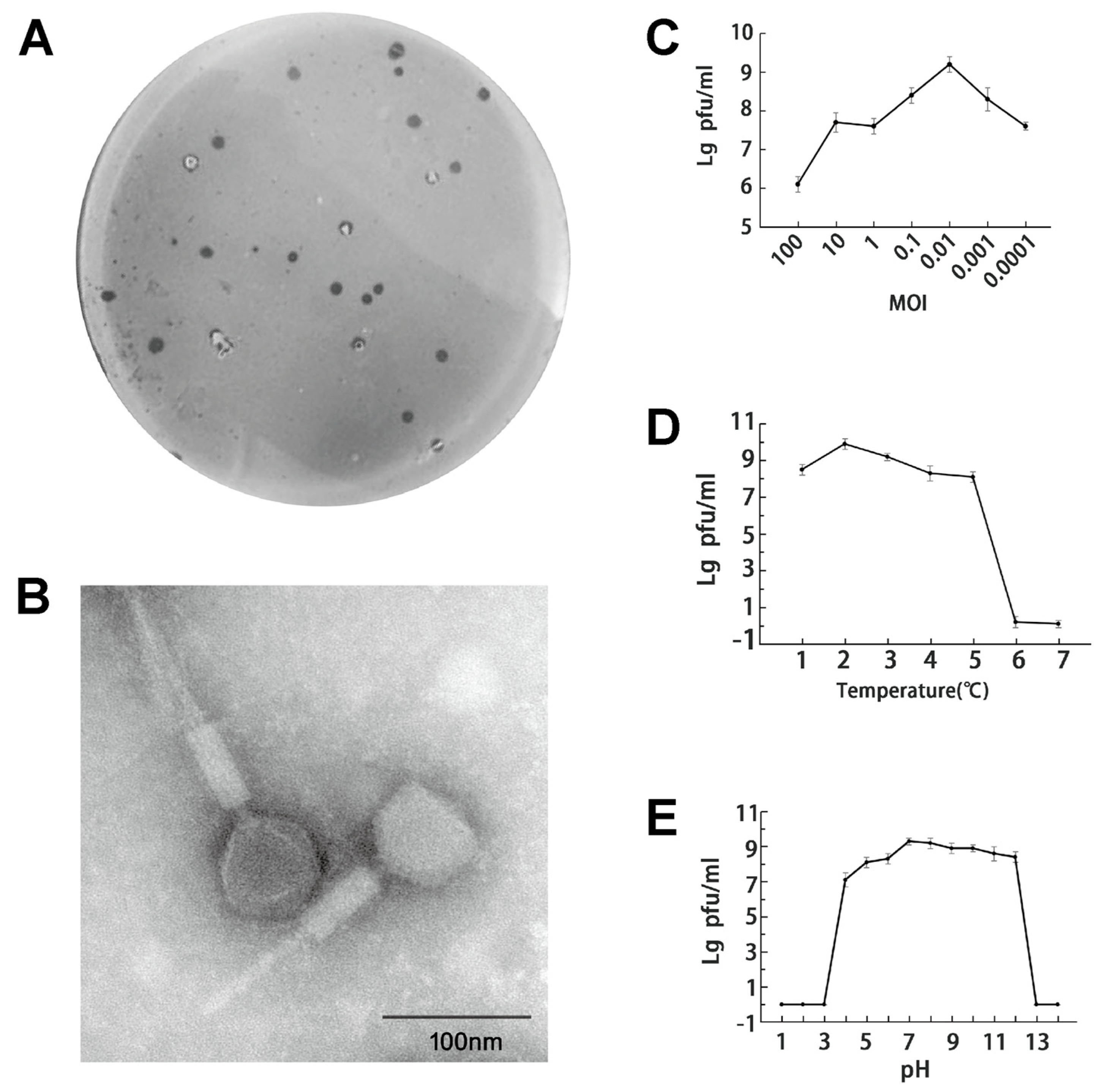 Microorganisms 12 00629 g001