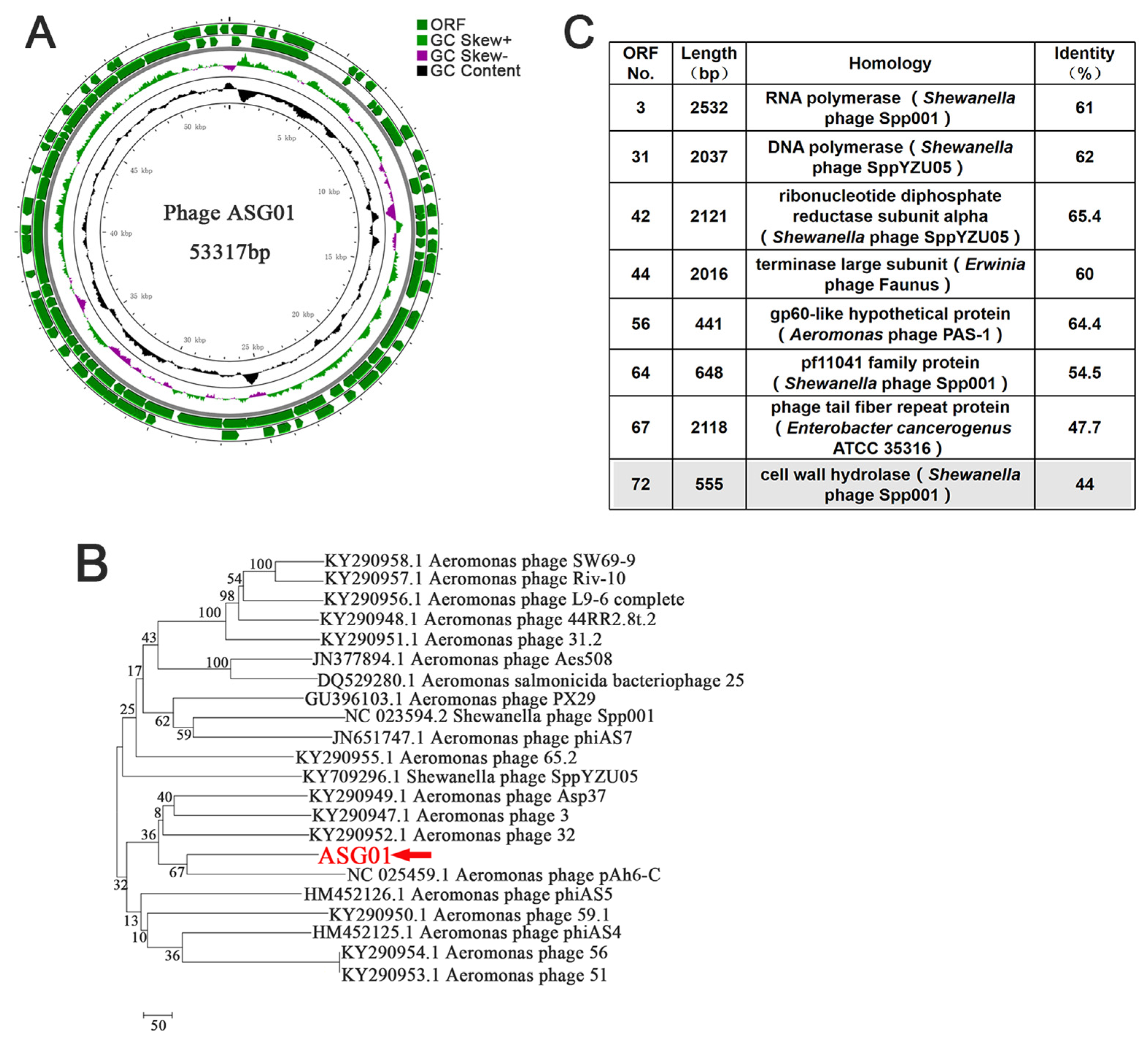 Microorganisms 12 00629 g002