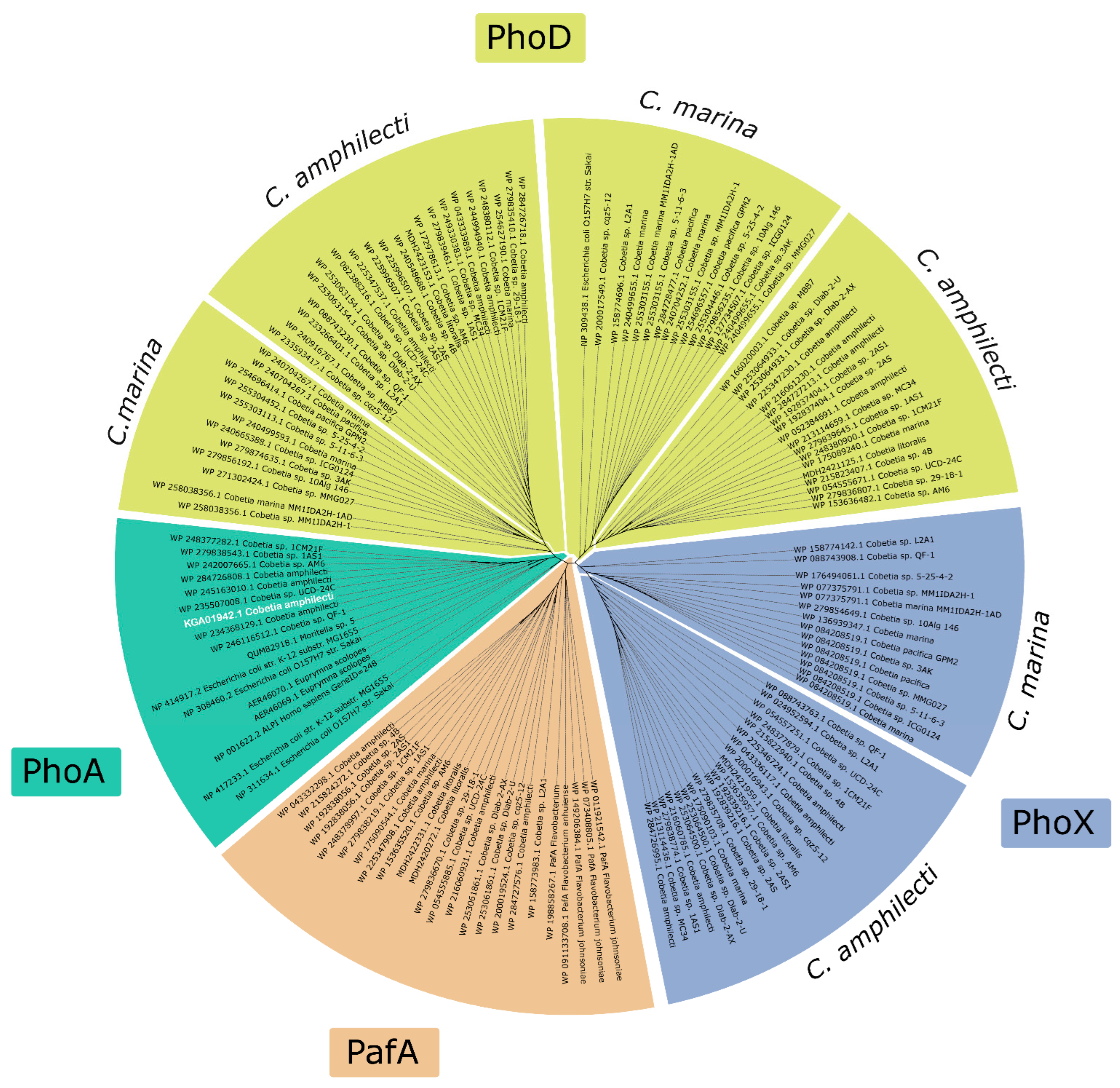 Microorganisms 12 00631 g004