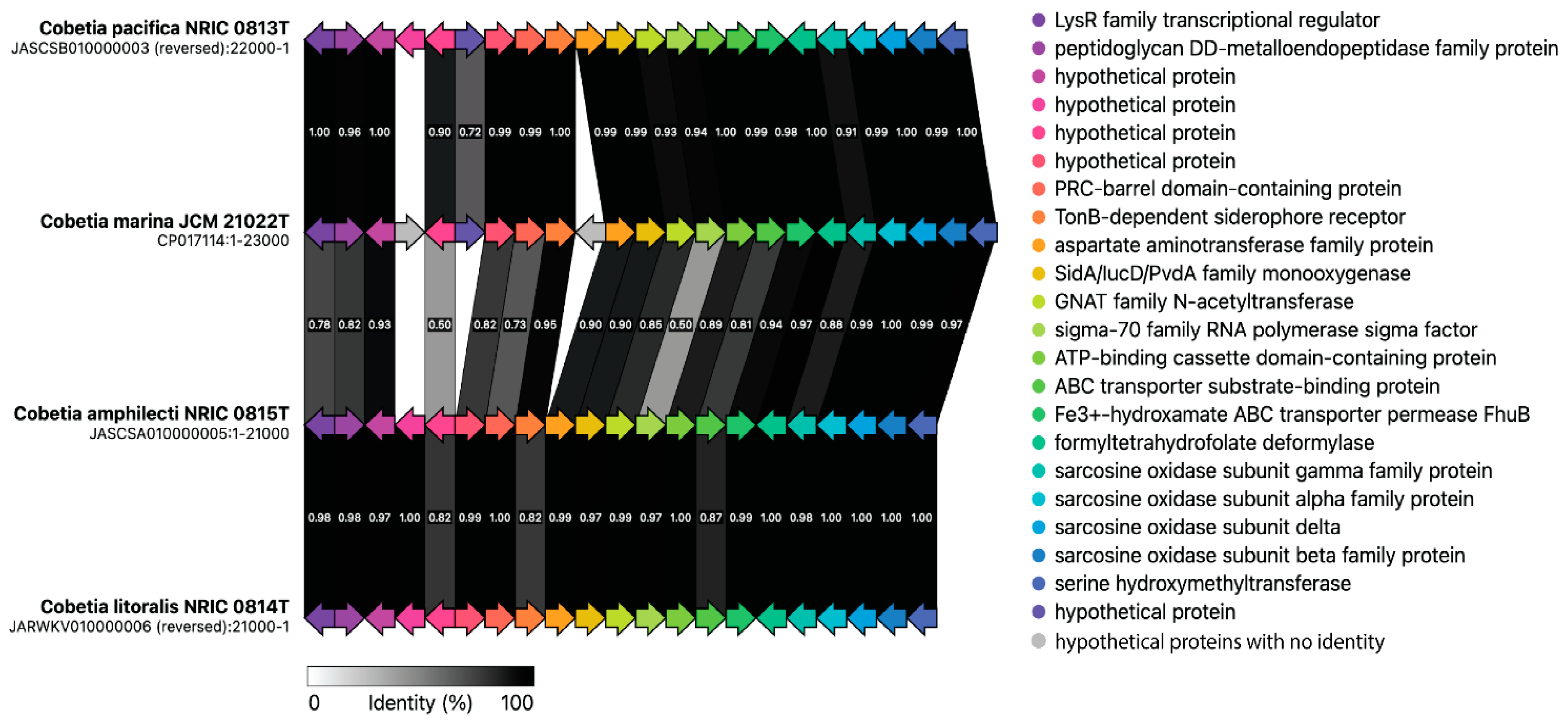Microorganisms 12 00631 g006