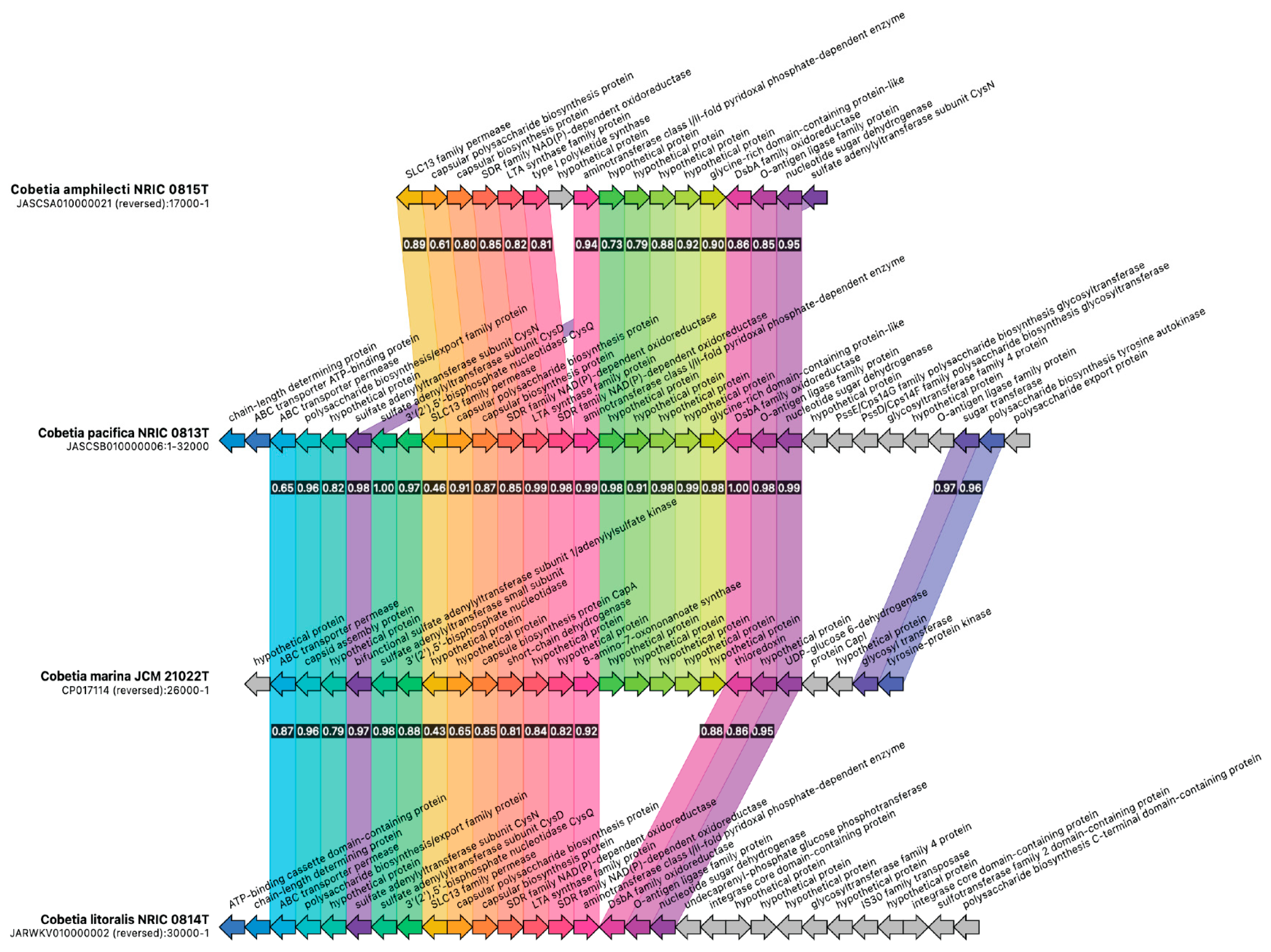 Microorganisms 12 00631 g007