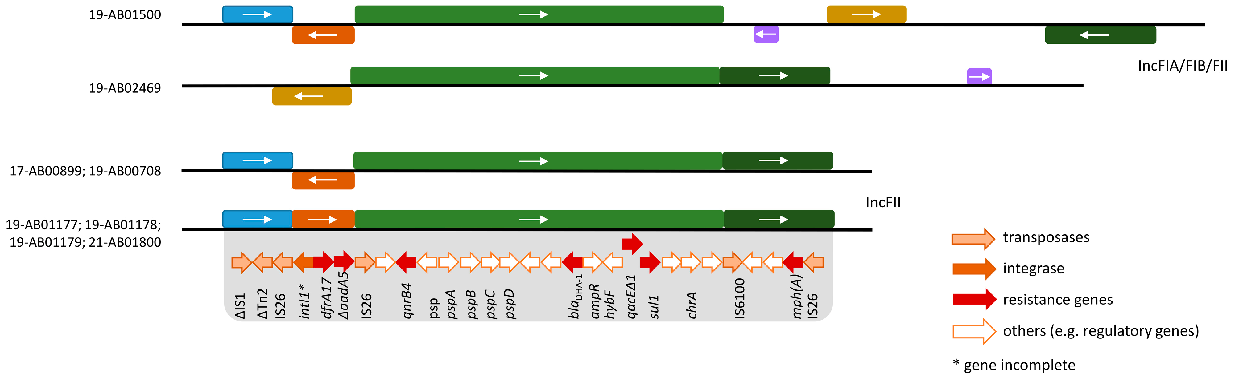 Microorganisms 12 00632 g002 Microorganisms 12 00632 g002