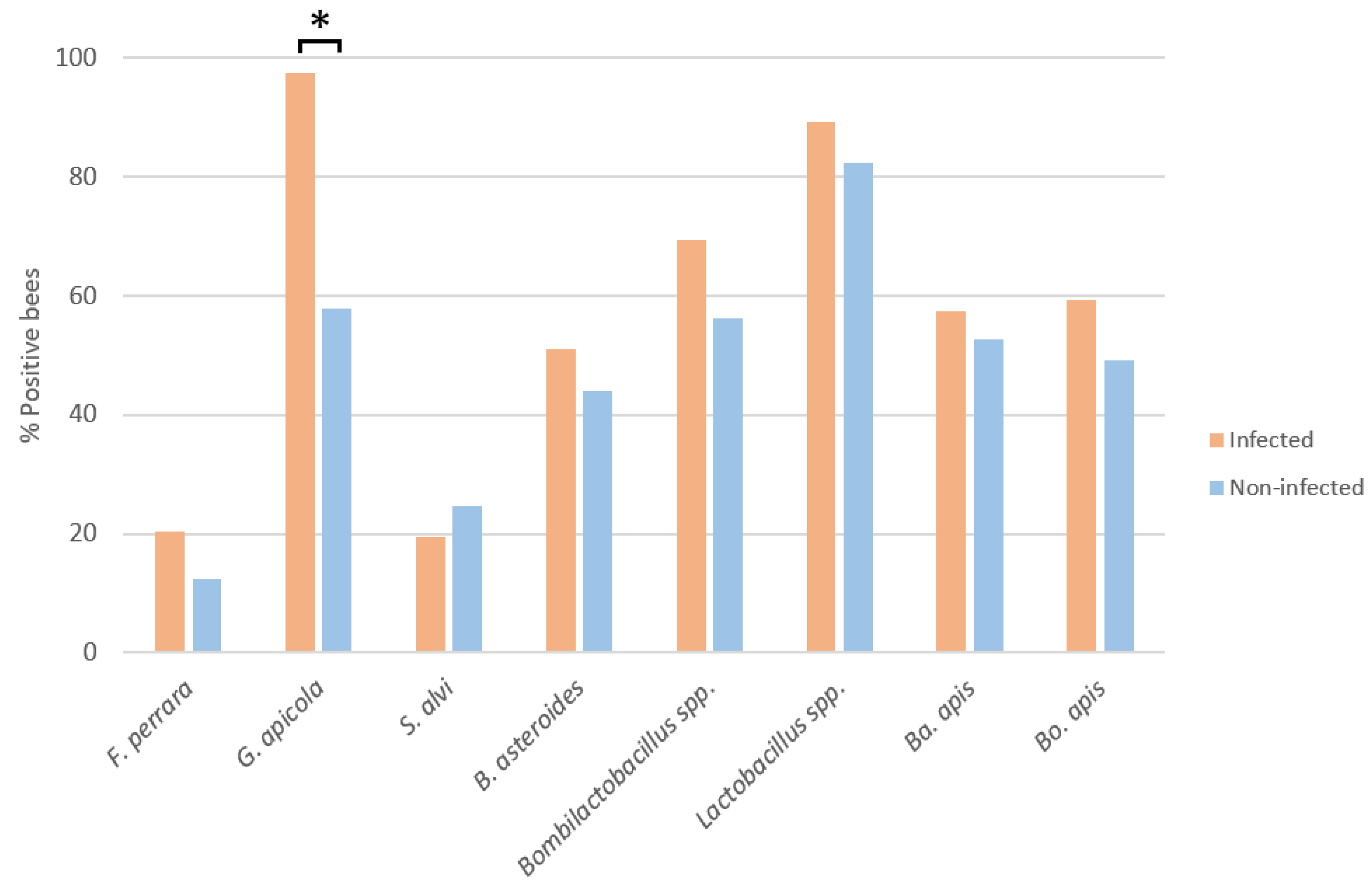 Microorganisms 12 00635 g001