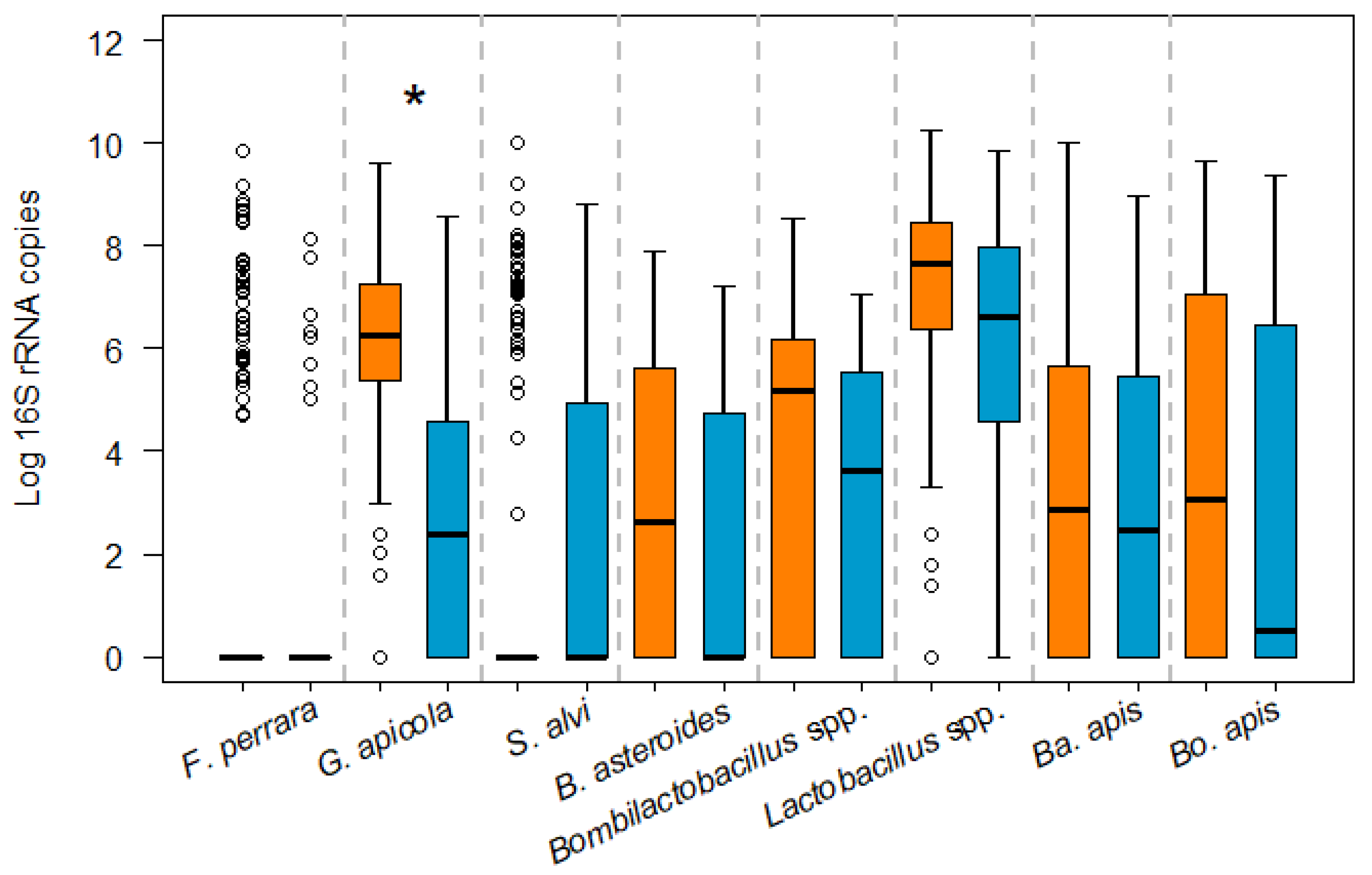 Microorganisms 12 00635 g002