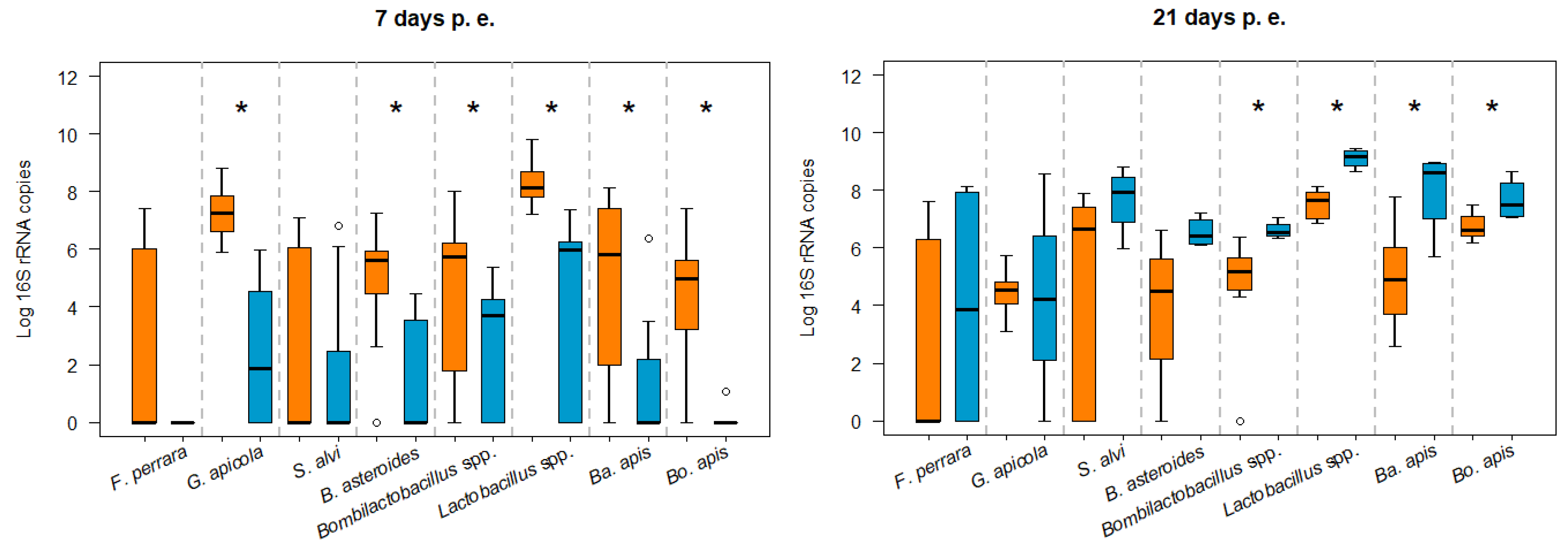 Microorganisms 12 00635 g004