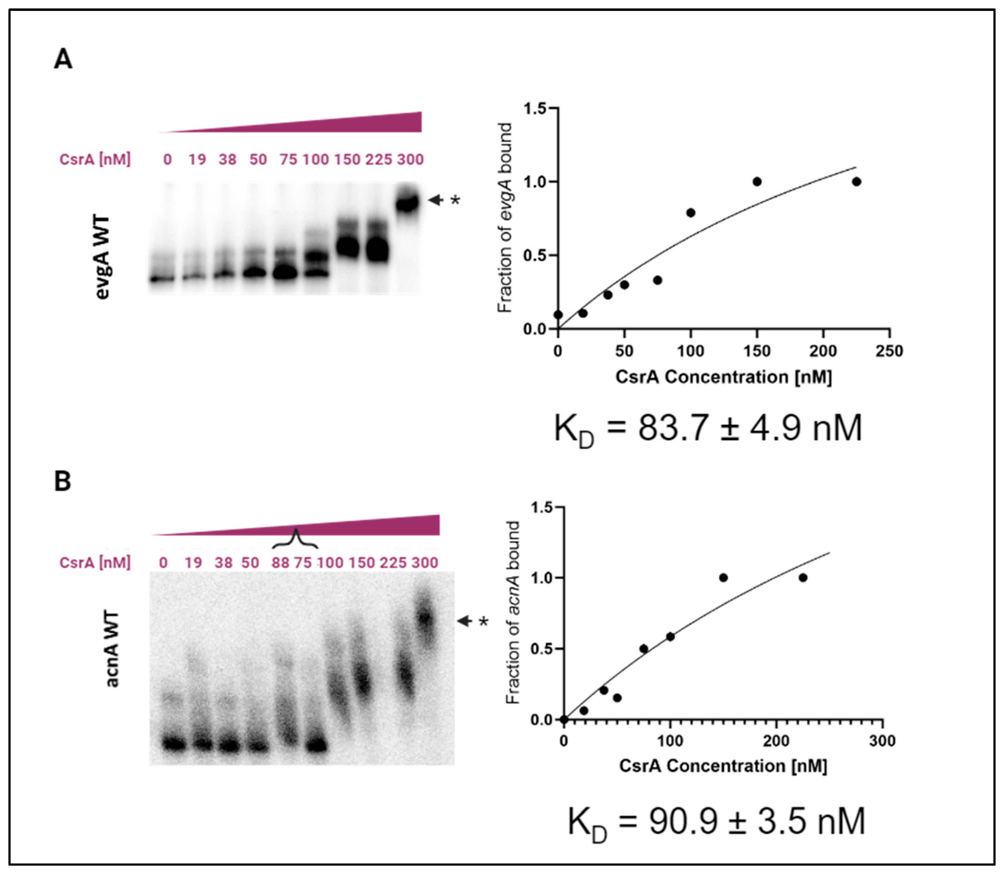 Microorganisms 12 00636 g001 Microorganisms 12 00636 g001