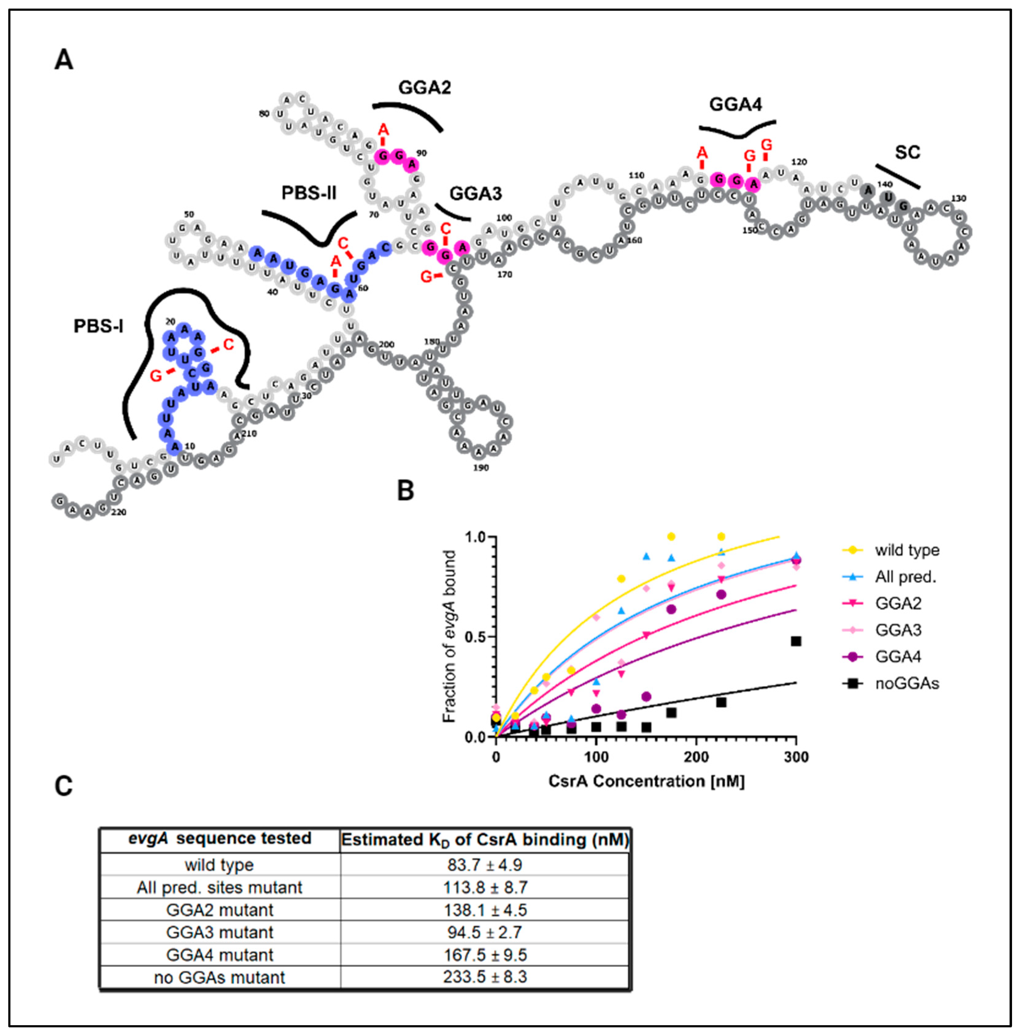 Microorganisms 12 00636 g002 Microorganisms 12 00636 g002