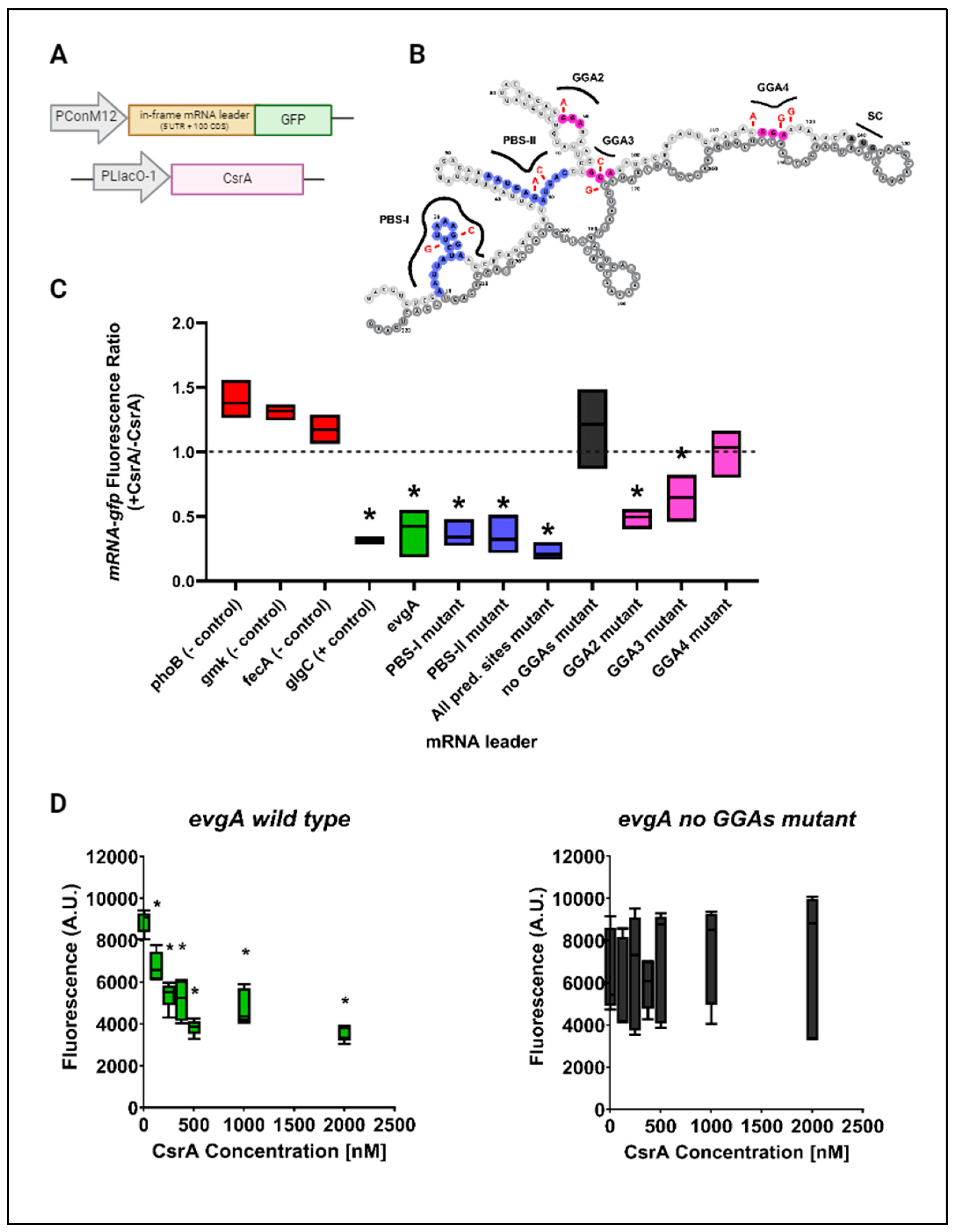 Microorganisms 12 00636 g004 Microorganisms 12 00636 g004