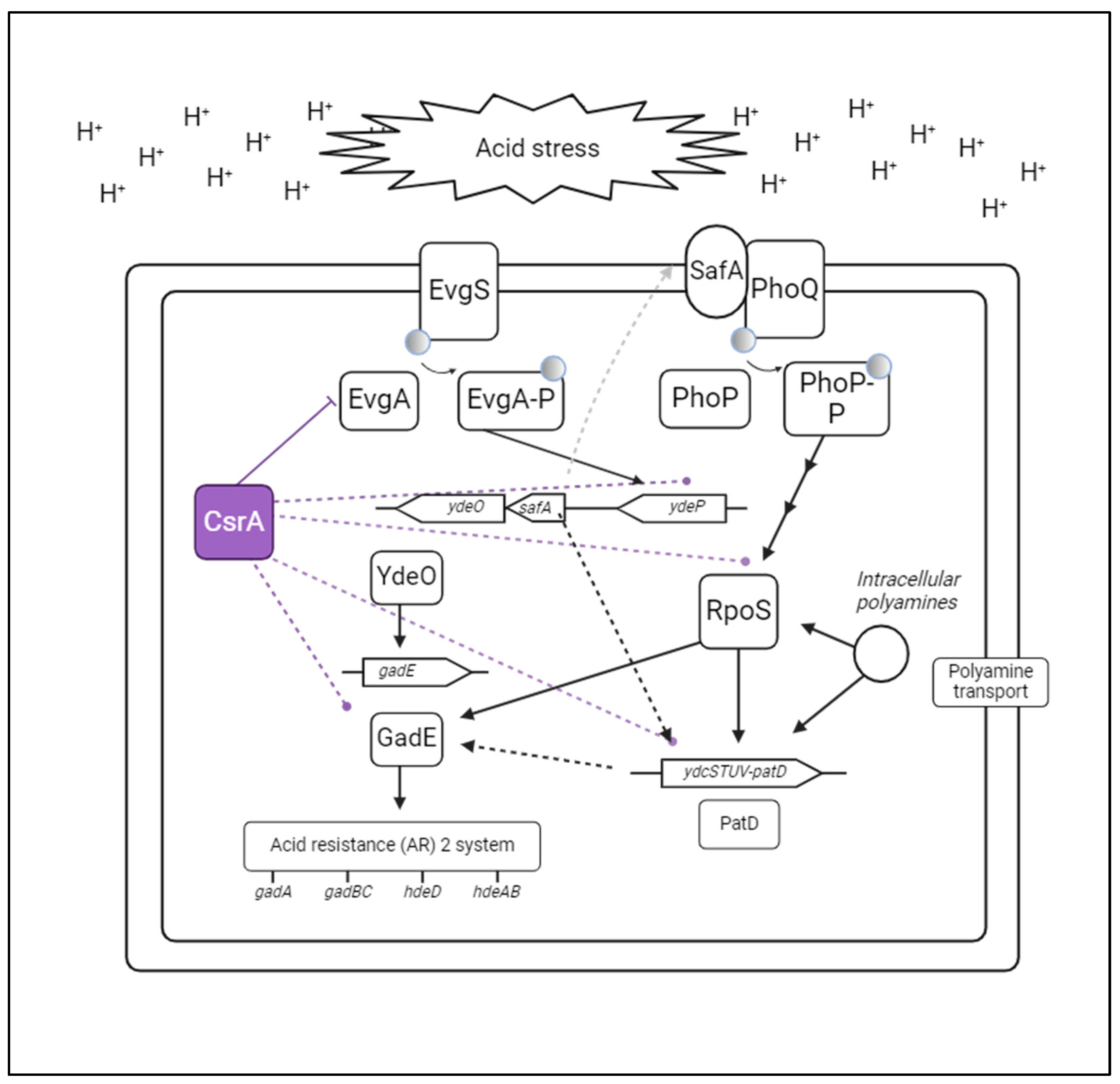 Microorganisms 12 00636 g007 Microorganisms 12 00636 g007
