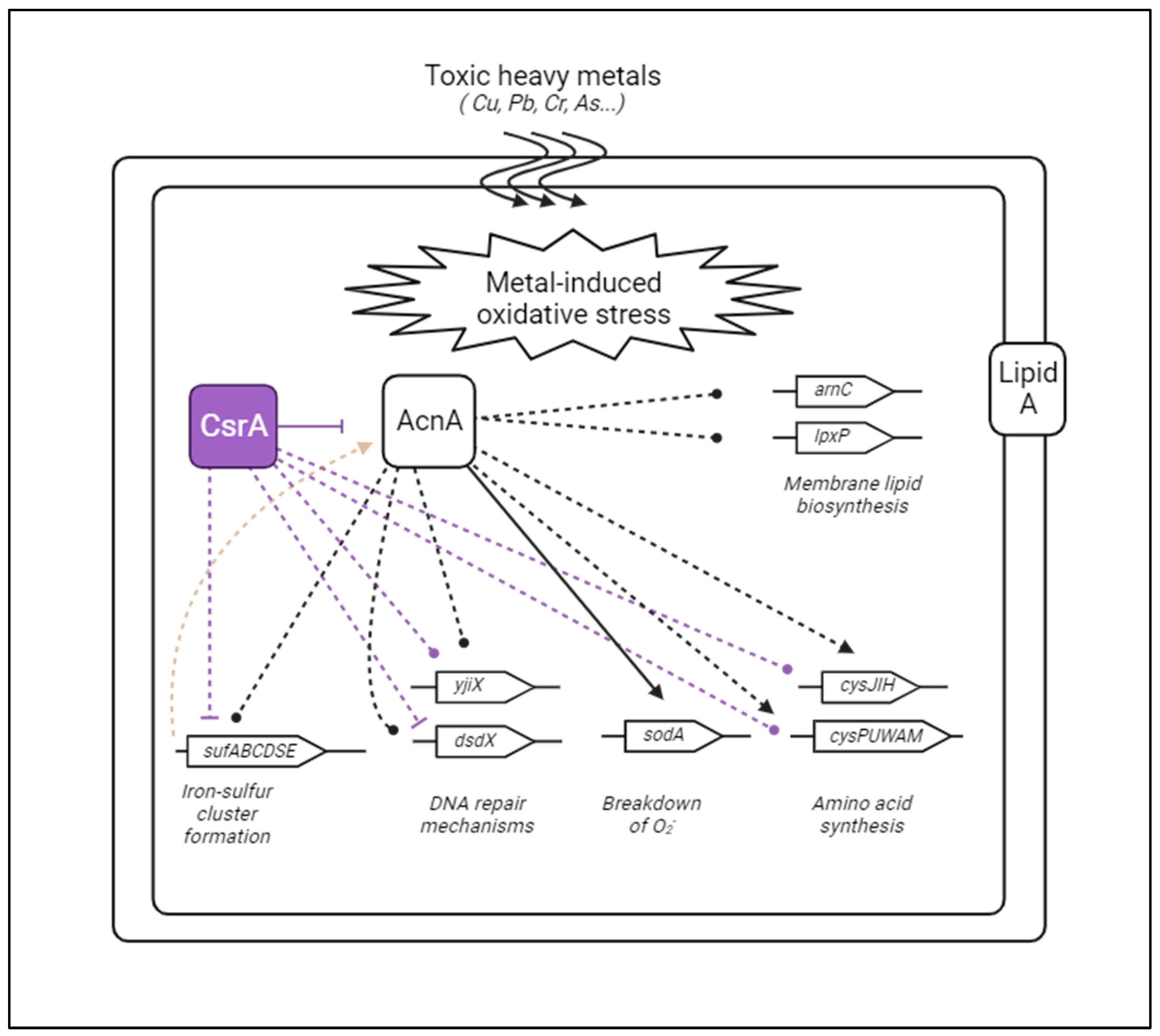 Microorganisms 12 00636 g009 Microorganisms 12 00636 g009