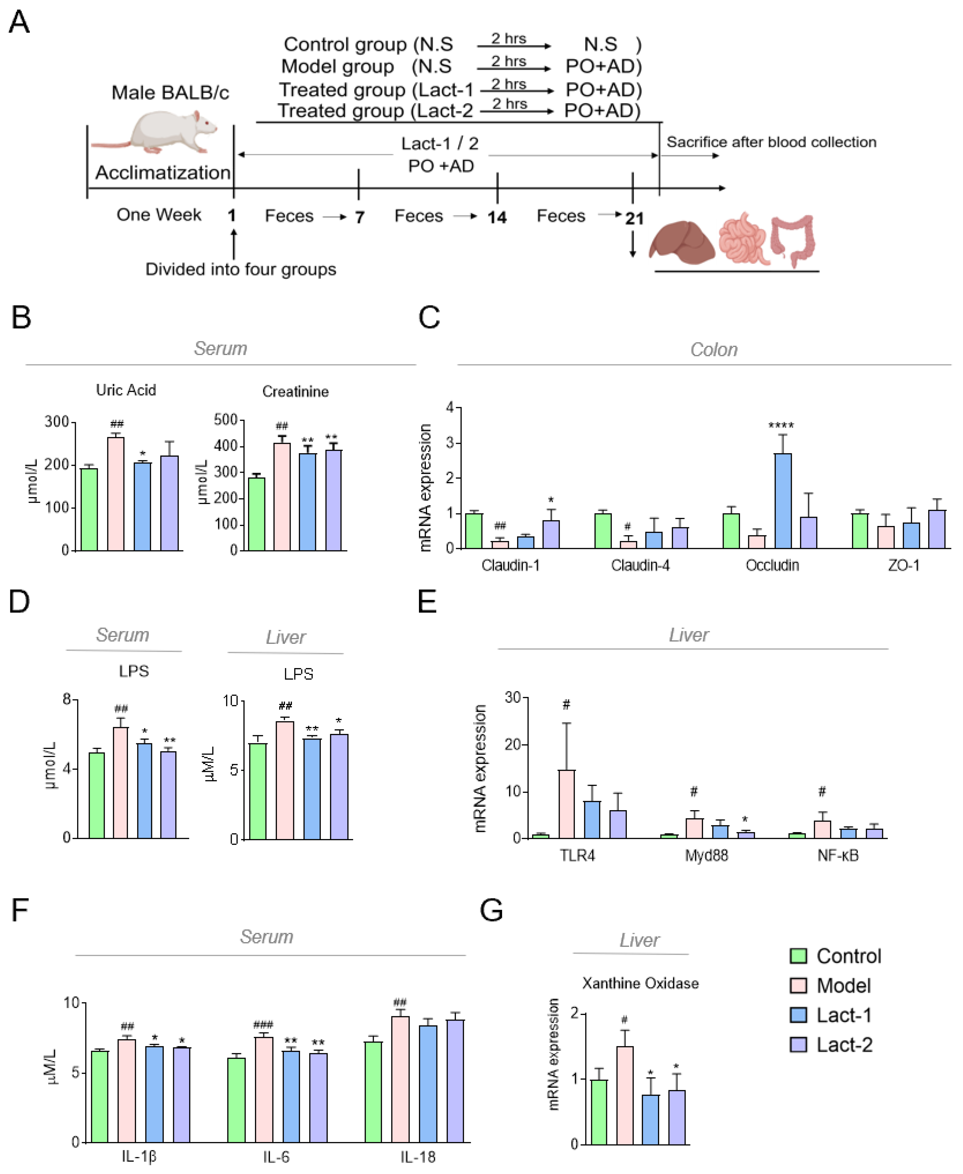 Microorganisms 12 00637 g002