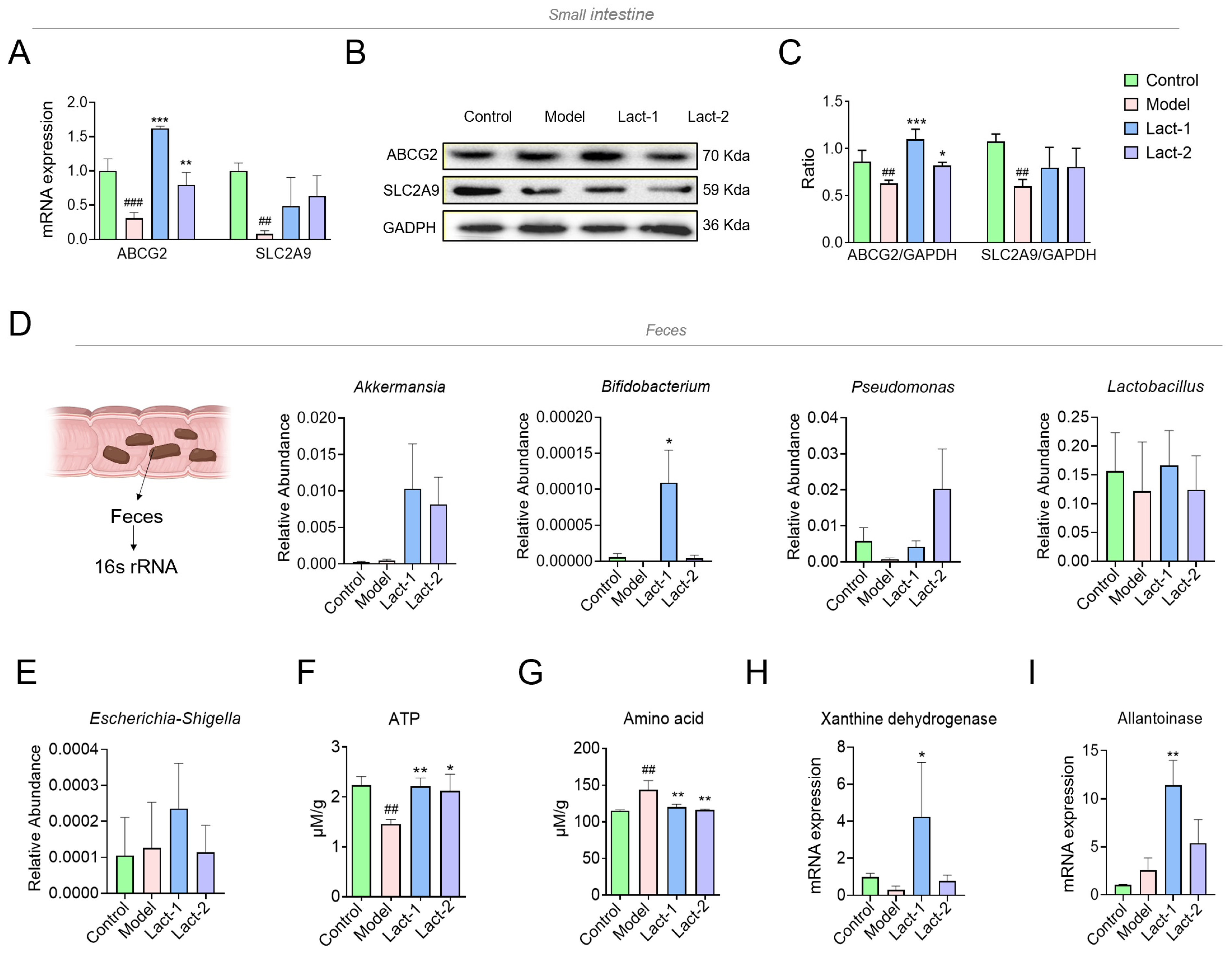 Microorganisms 12 00637 g004