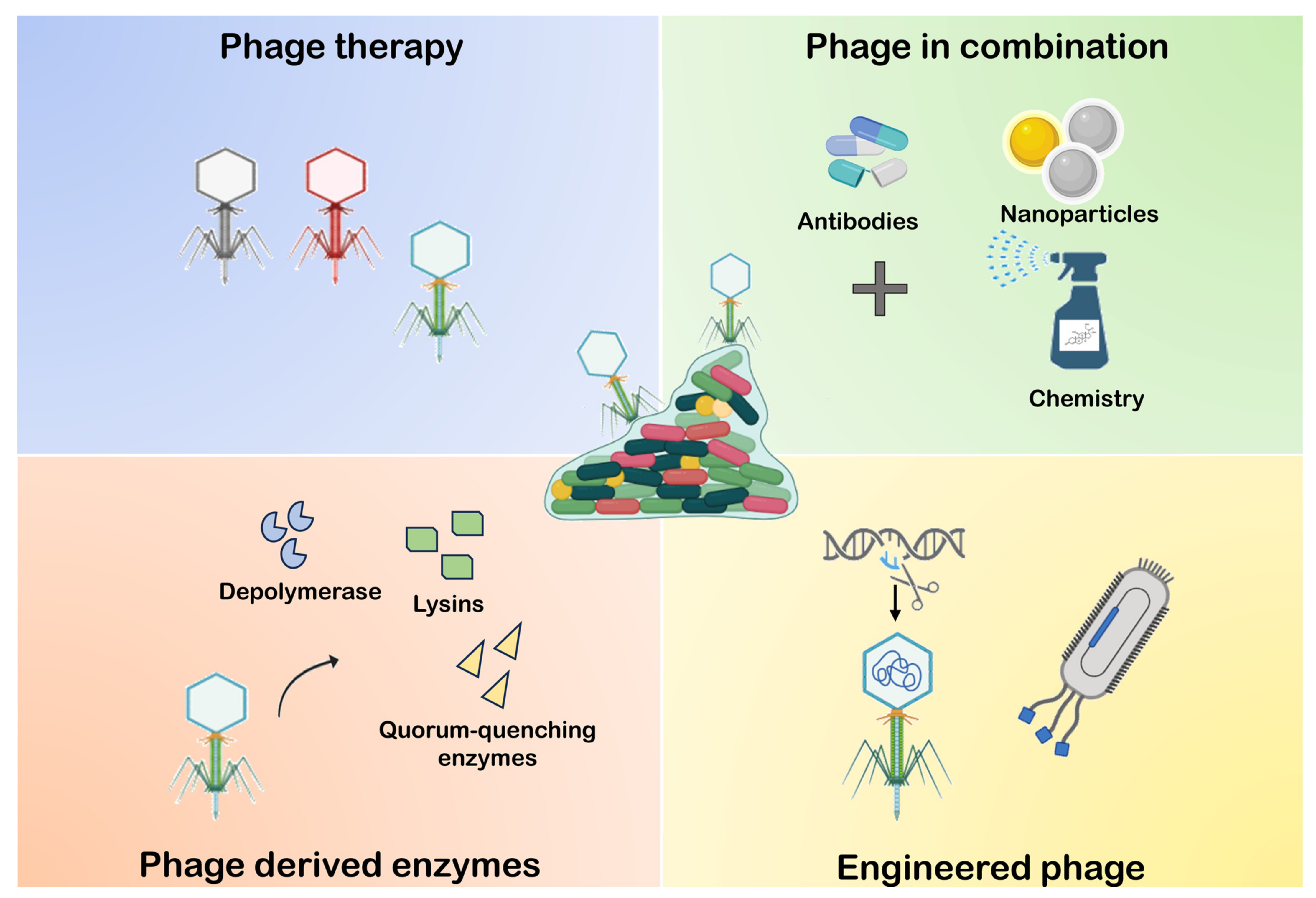 Microorganisms 12 00639 g006