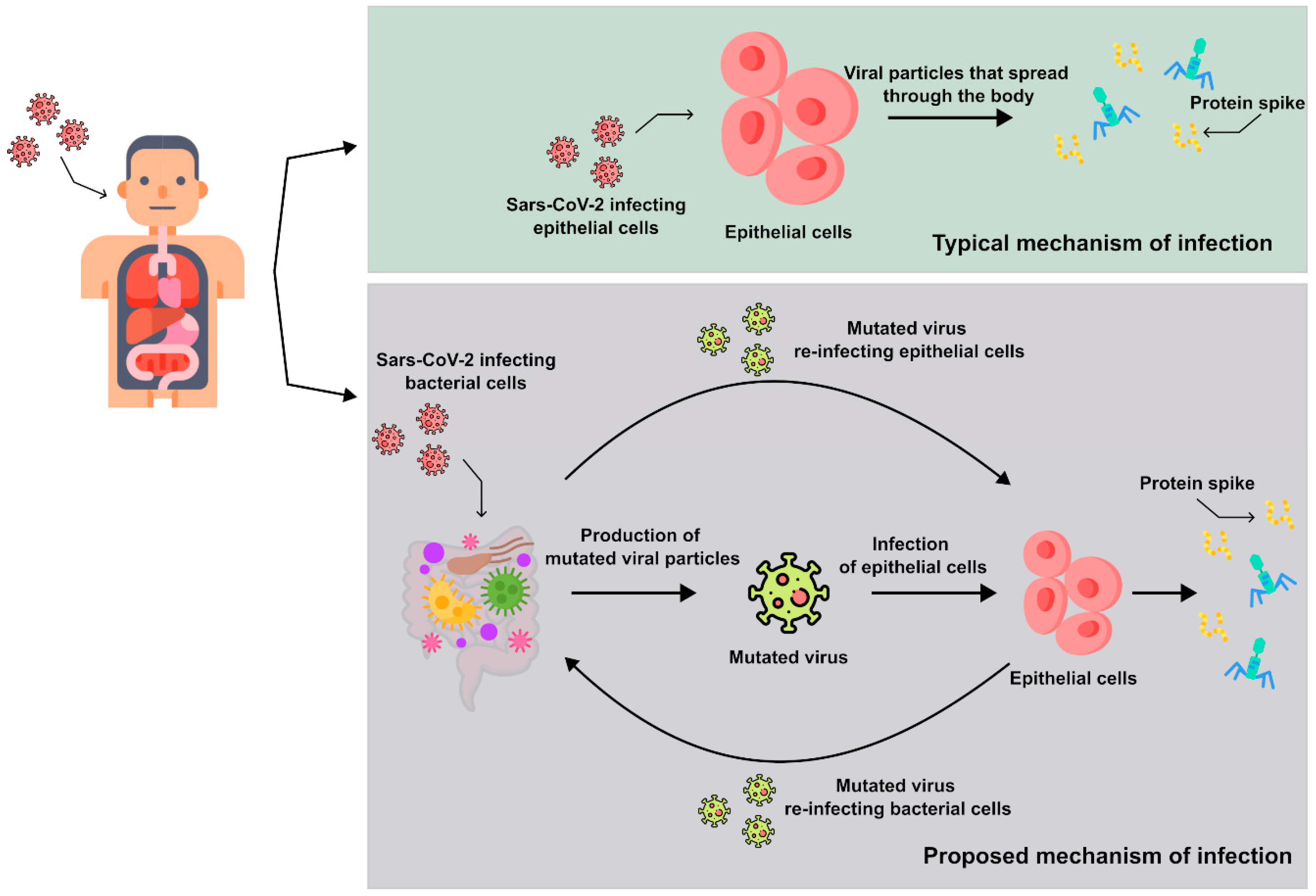 Microorganisms 12 00643 g001