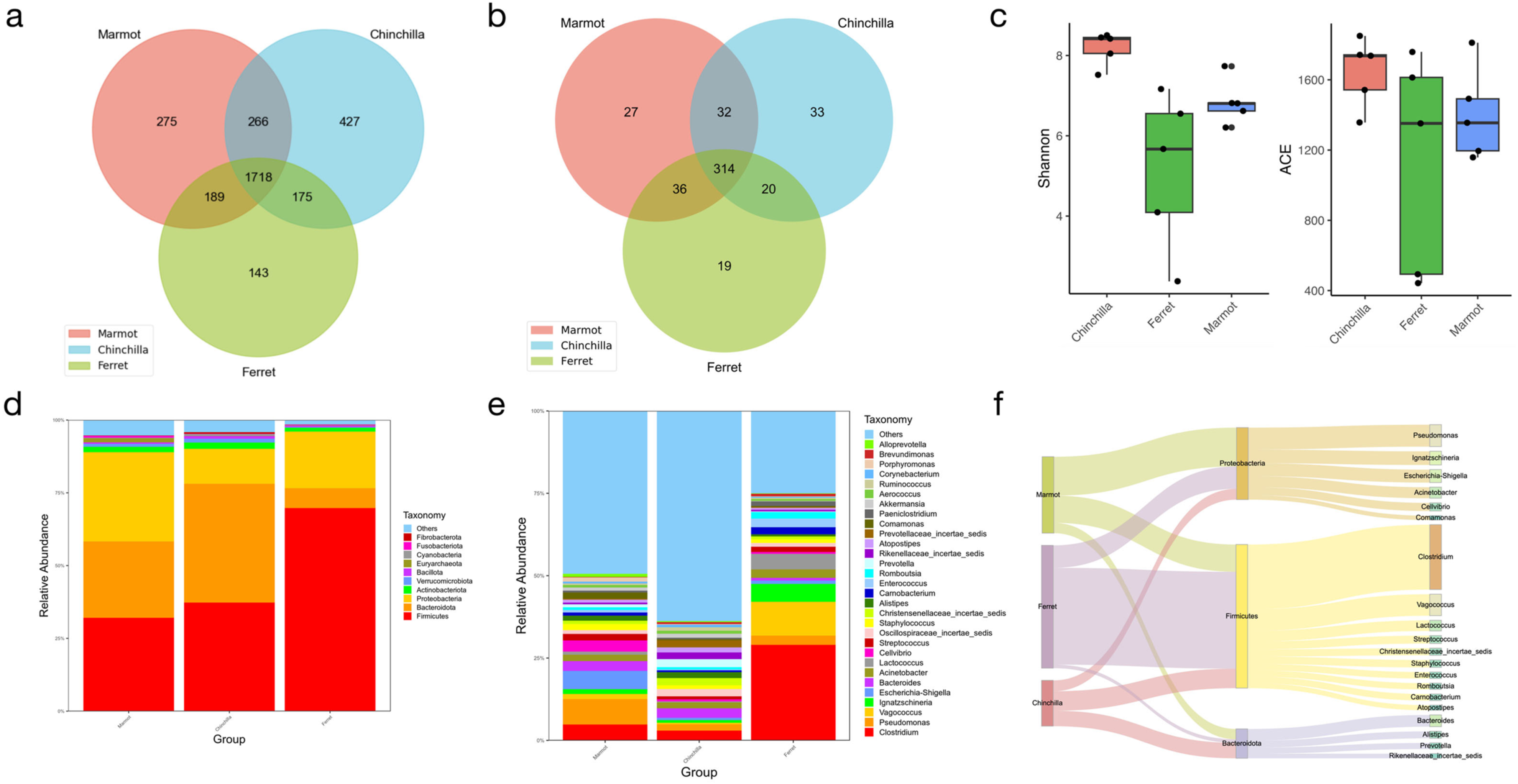 Microorganisms 12 00646 g002