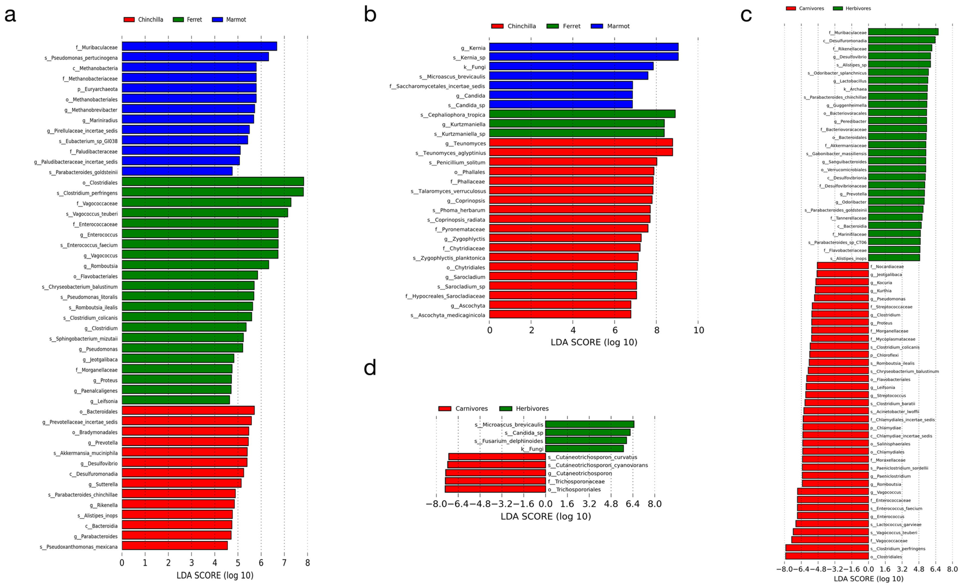 Microorganisms 12 00646 g005